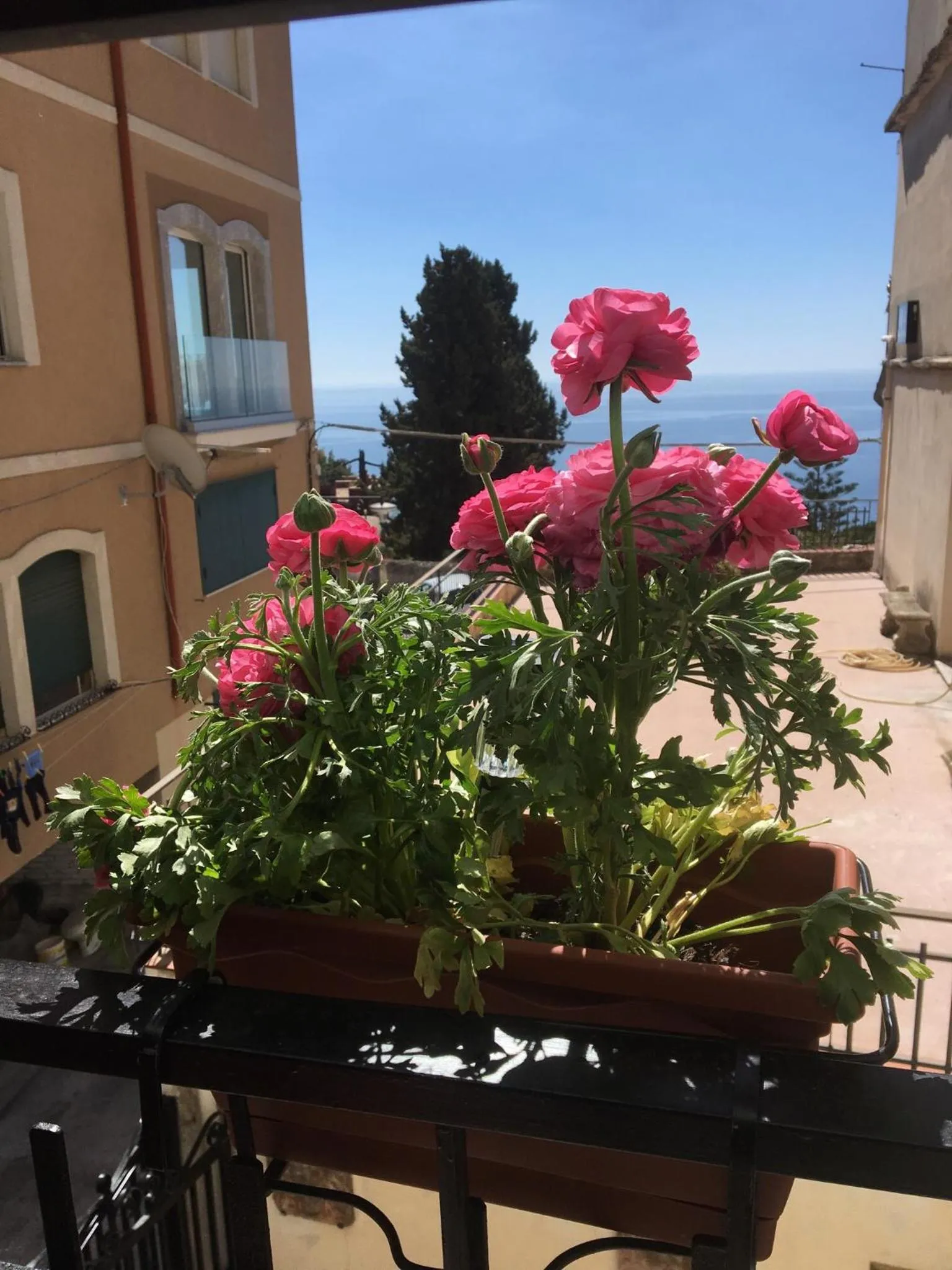 Sea view in B&B Antonella