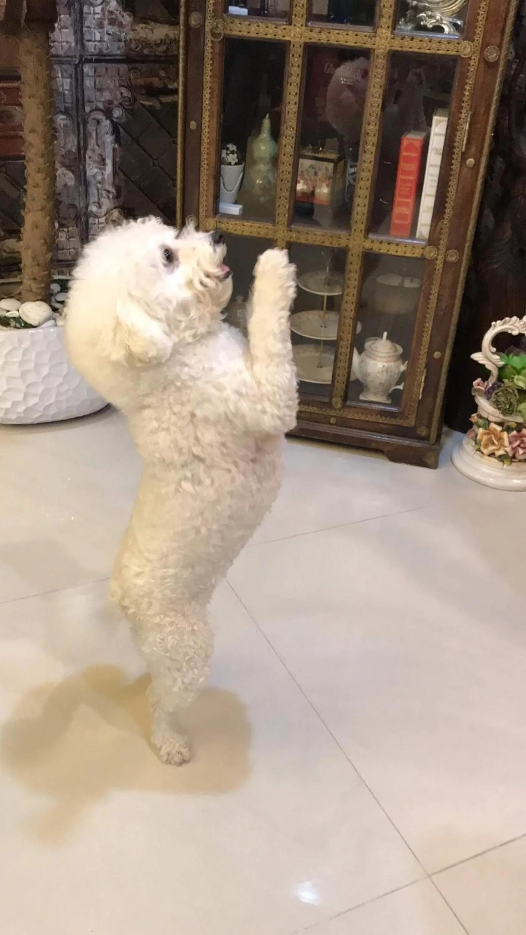 Aria 2 Home (With Elevator)