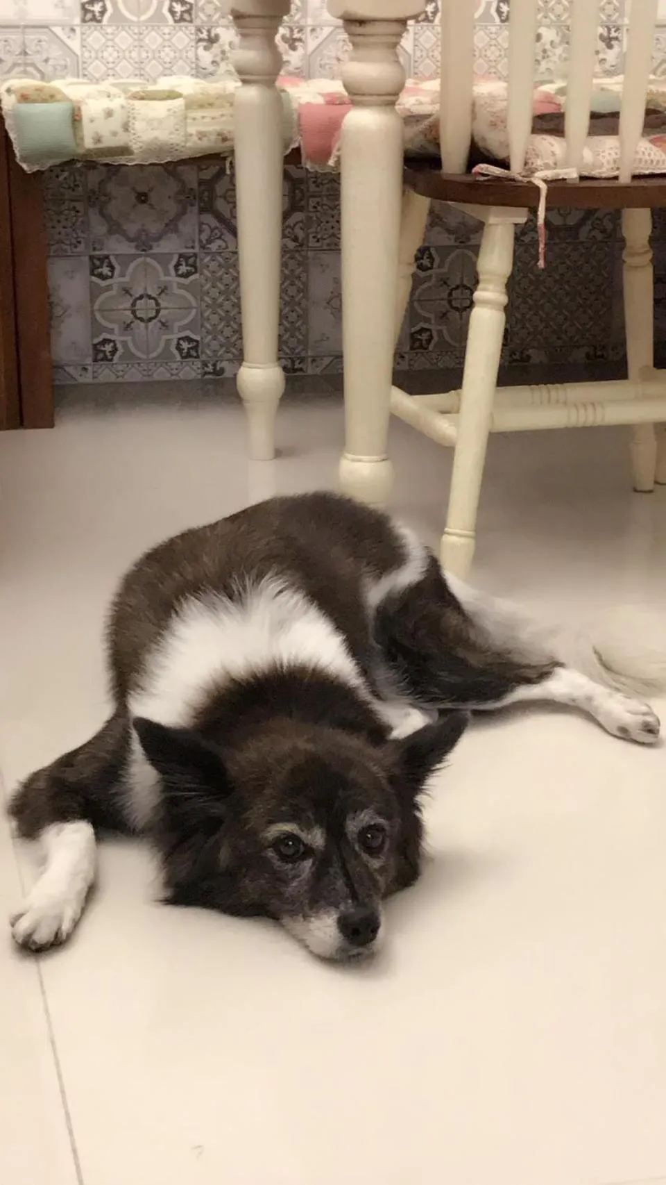 Aria 2 Home (With Elevator)