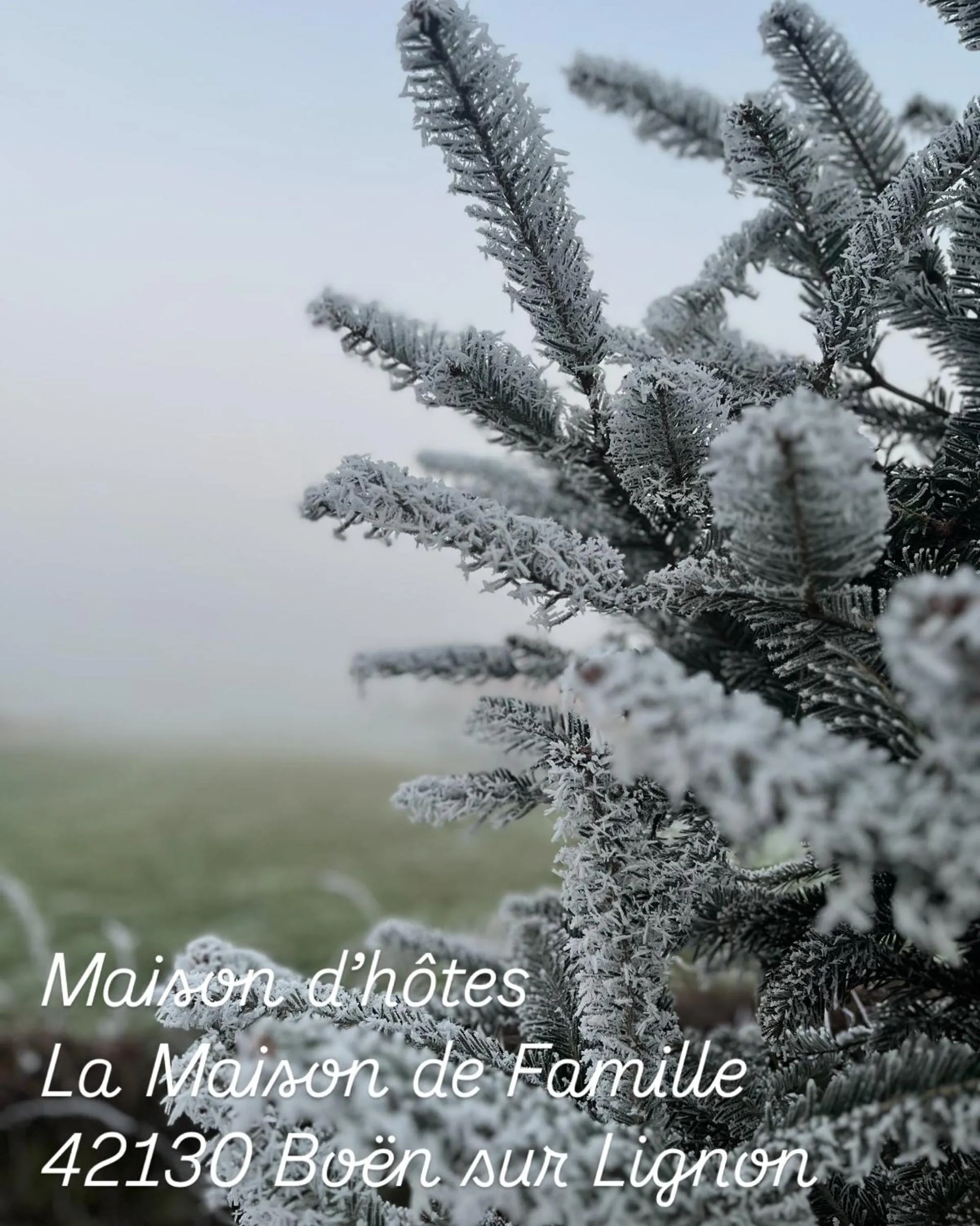 Garden in La Maison de famille