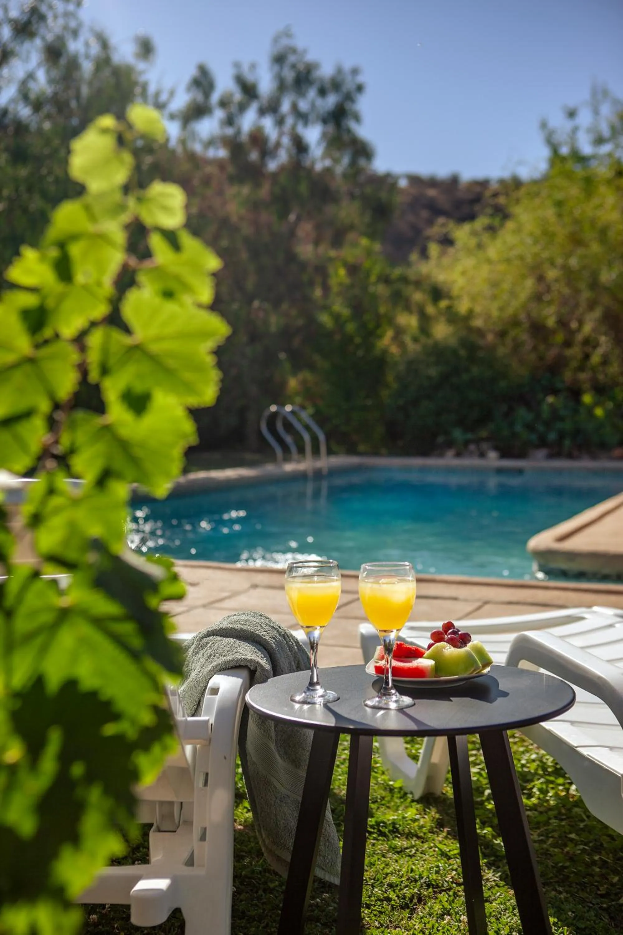 Garden view in Callihue Lodge