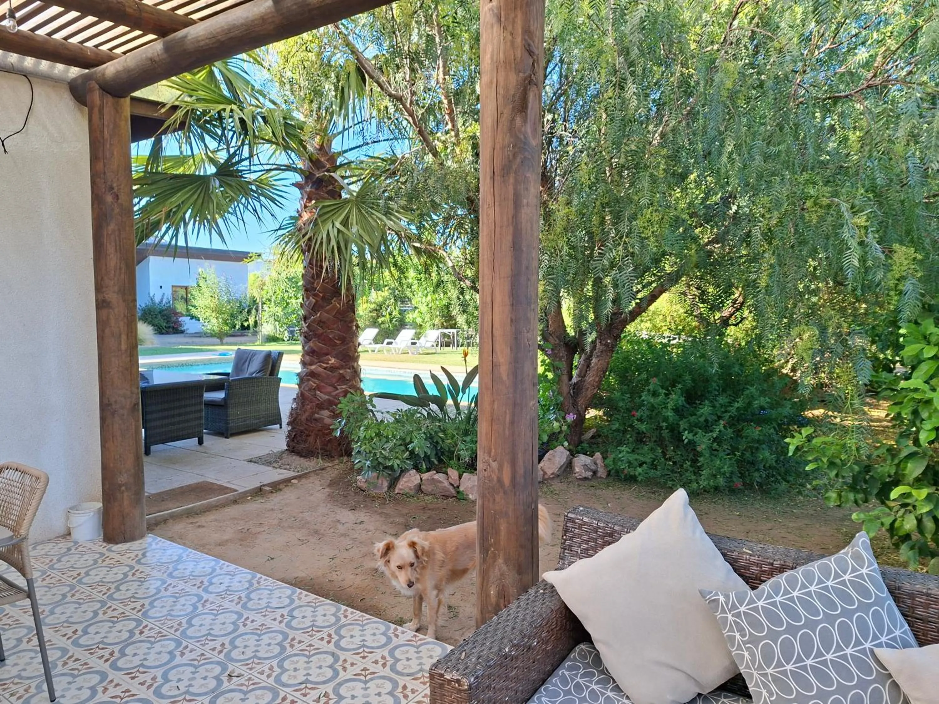 Garden in Callihue Lodge