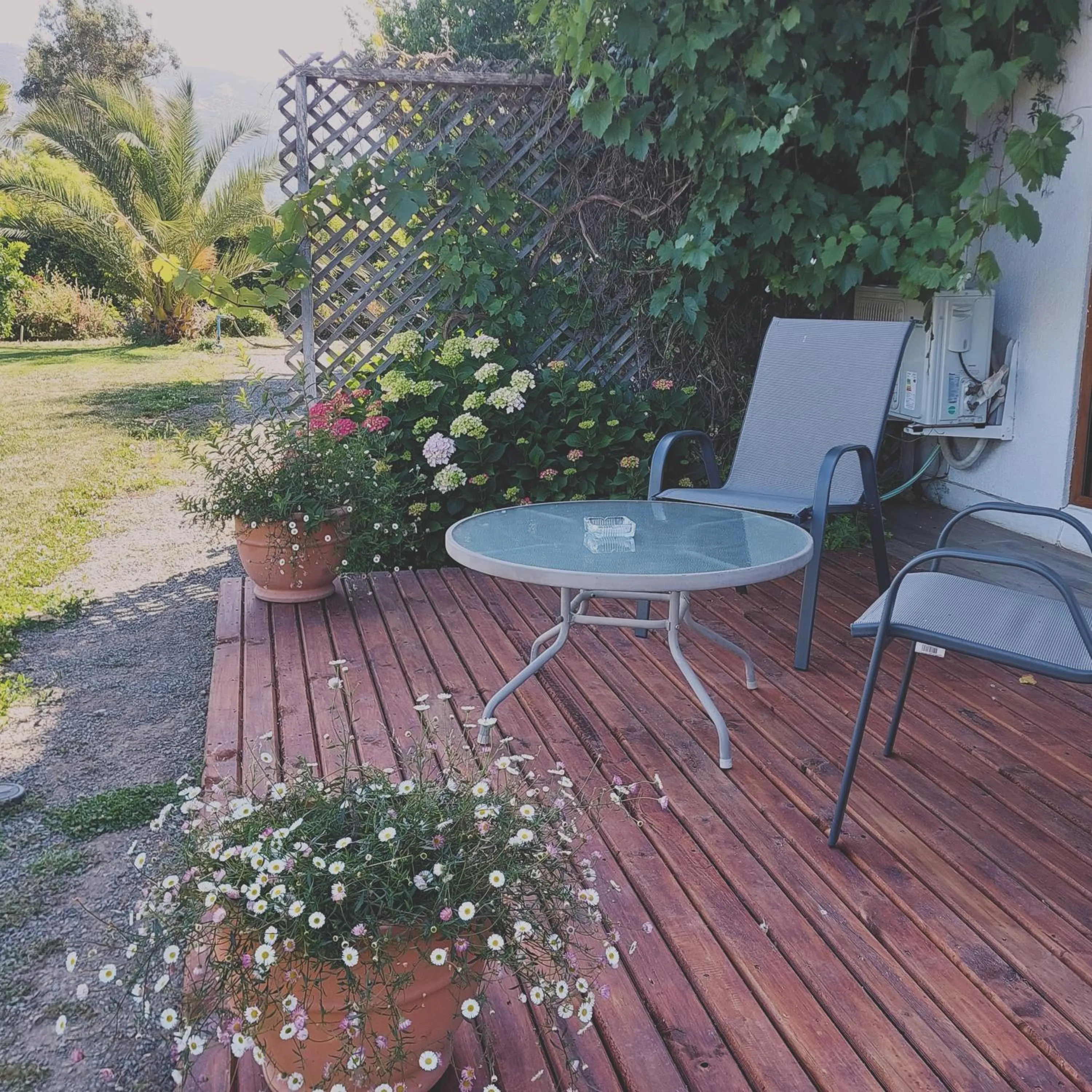 Garden in Callihue Lodge