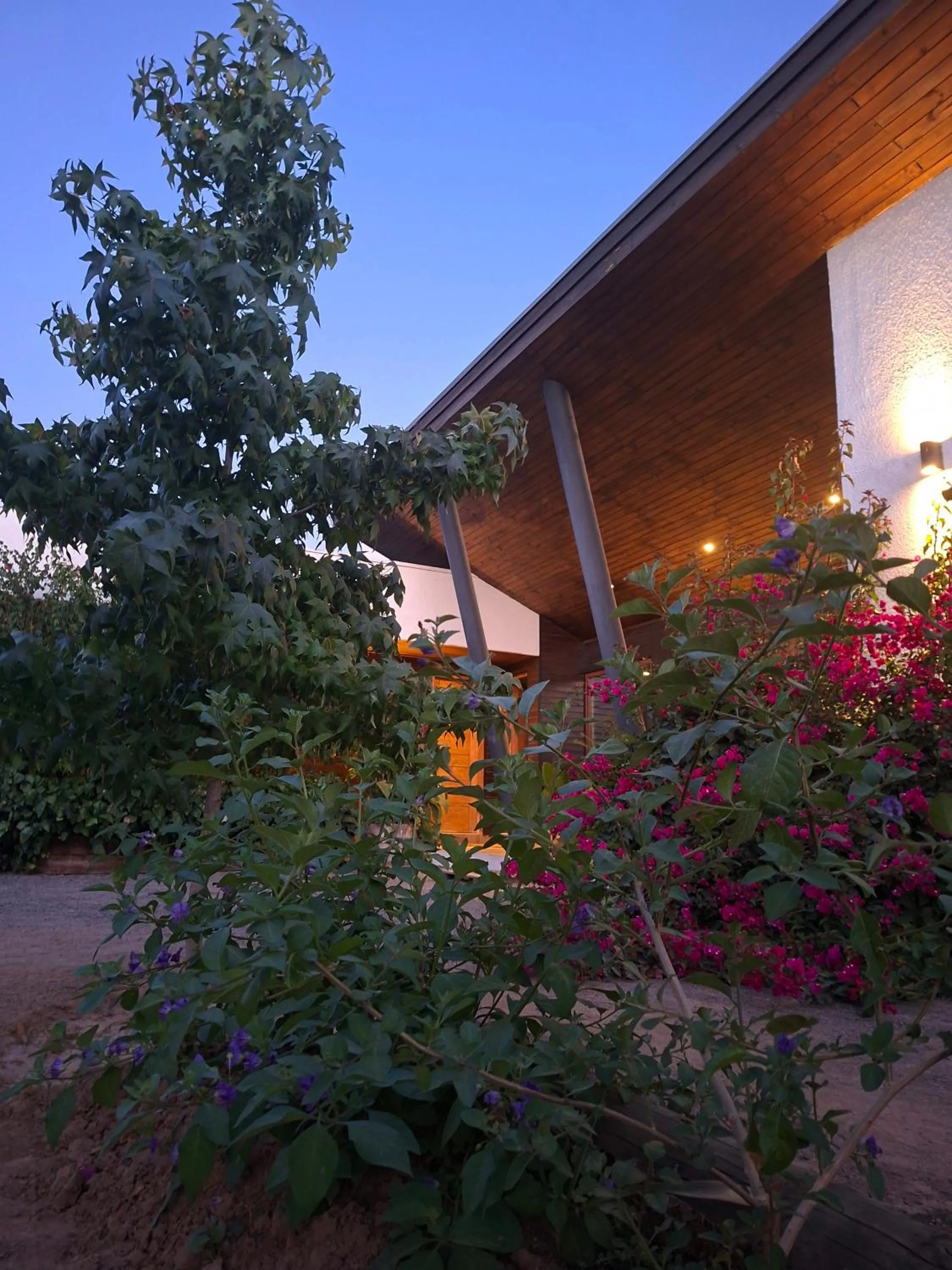 Property building in Callihue Lodge