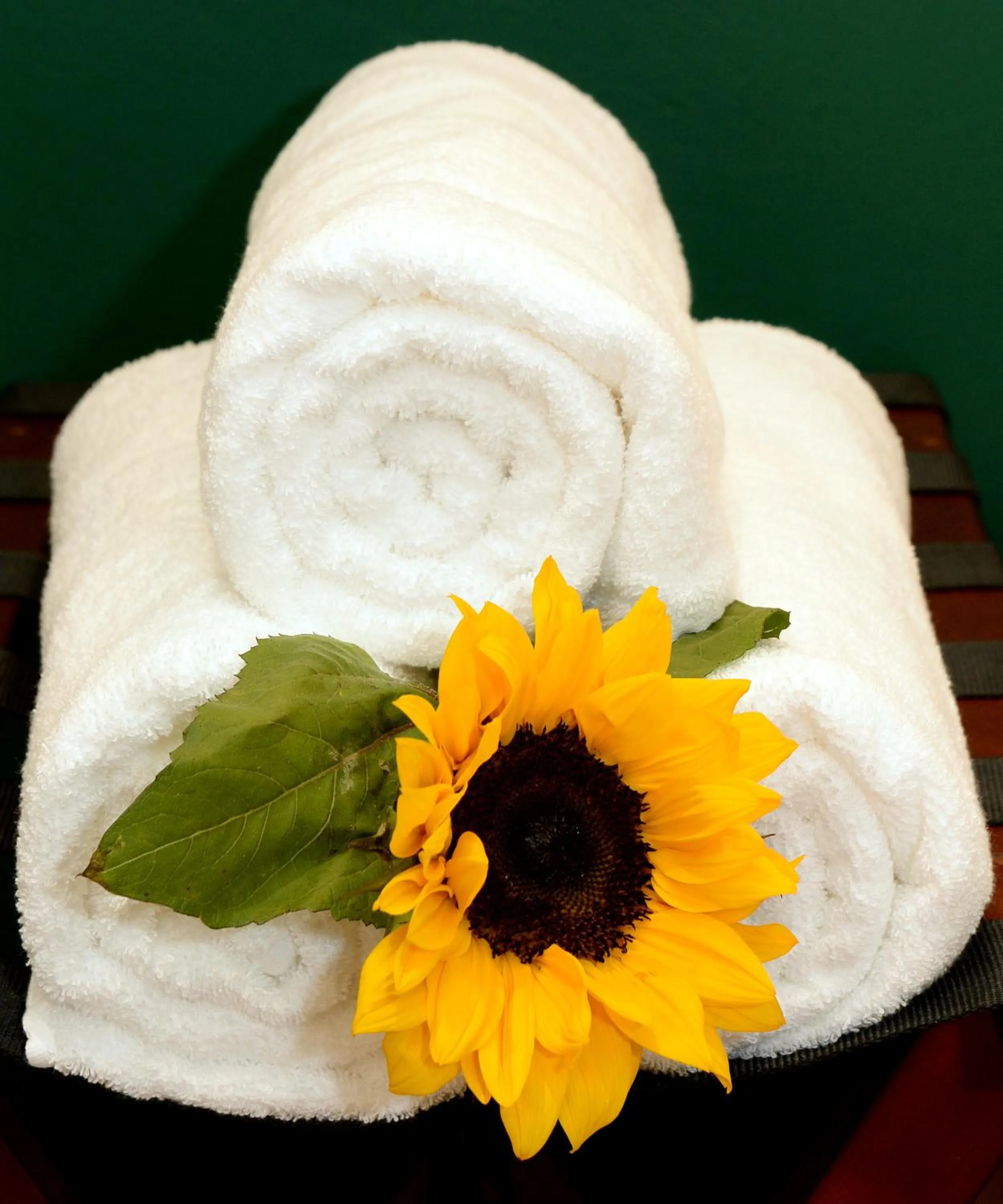 Decorative detail in Kgarebana Boutique Guesthouse