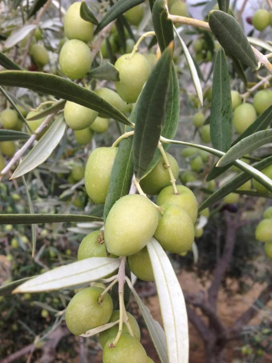 No 31 Bed & Breakfast