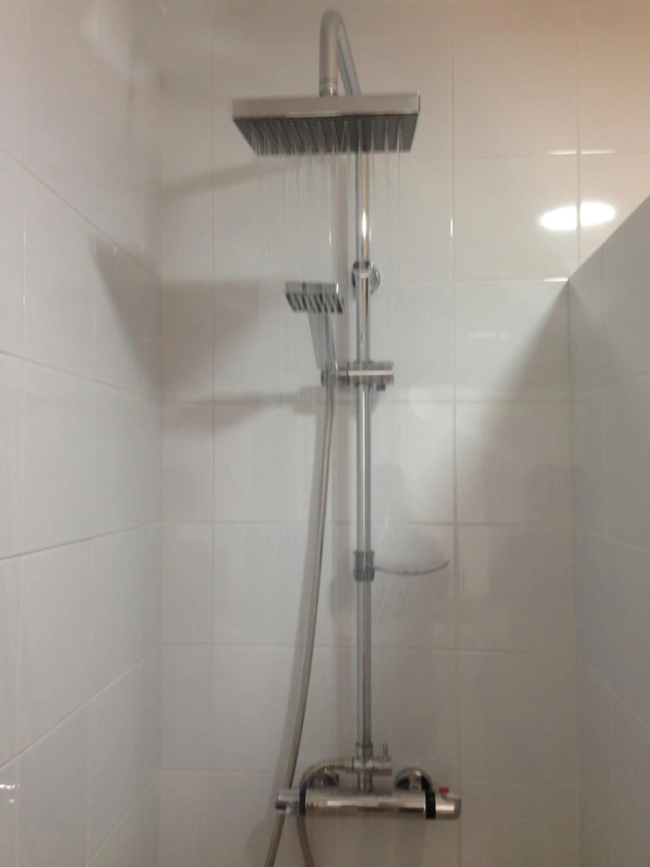 Shower in No 31 Bed & Breakfast