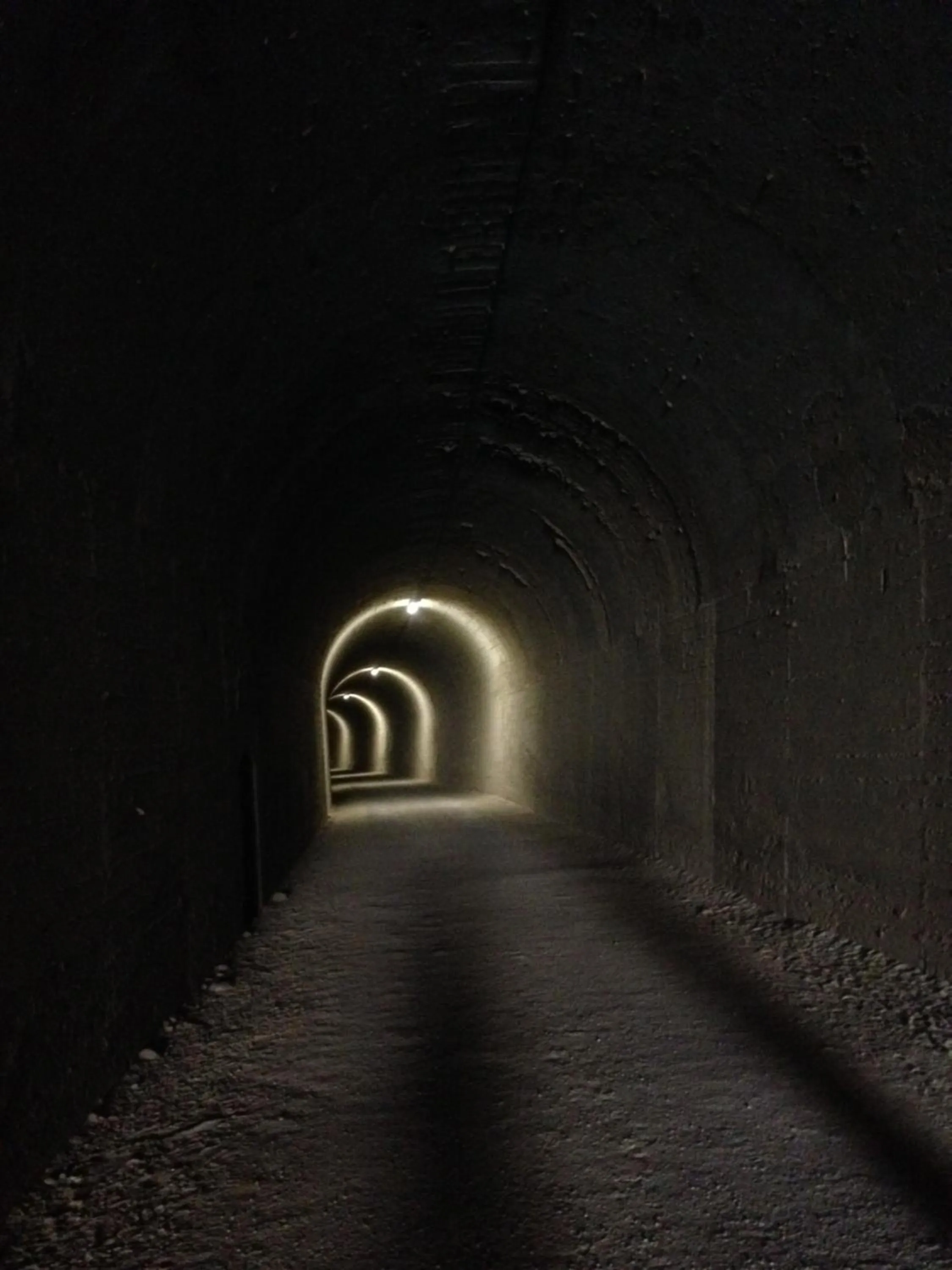 Hiking in No 31 Bed & Breakfast