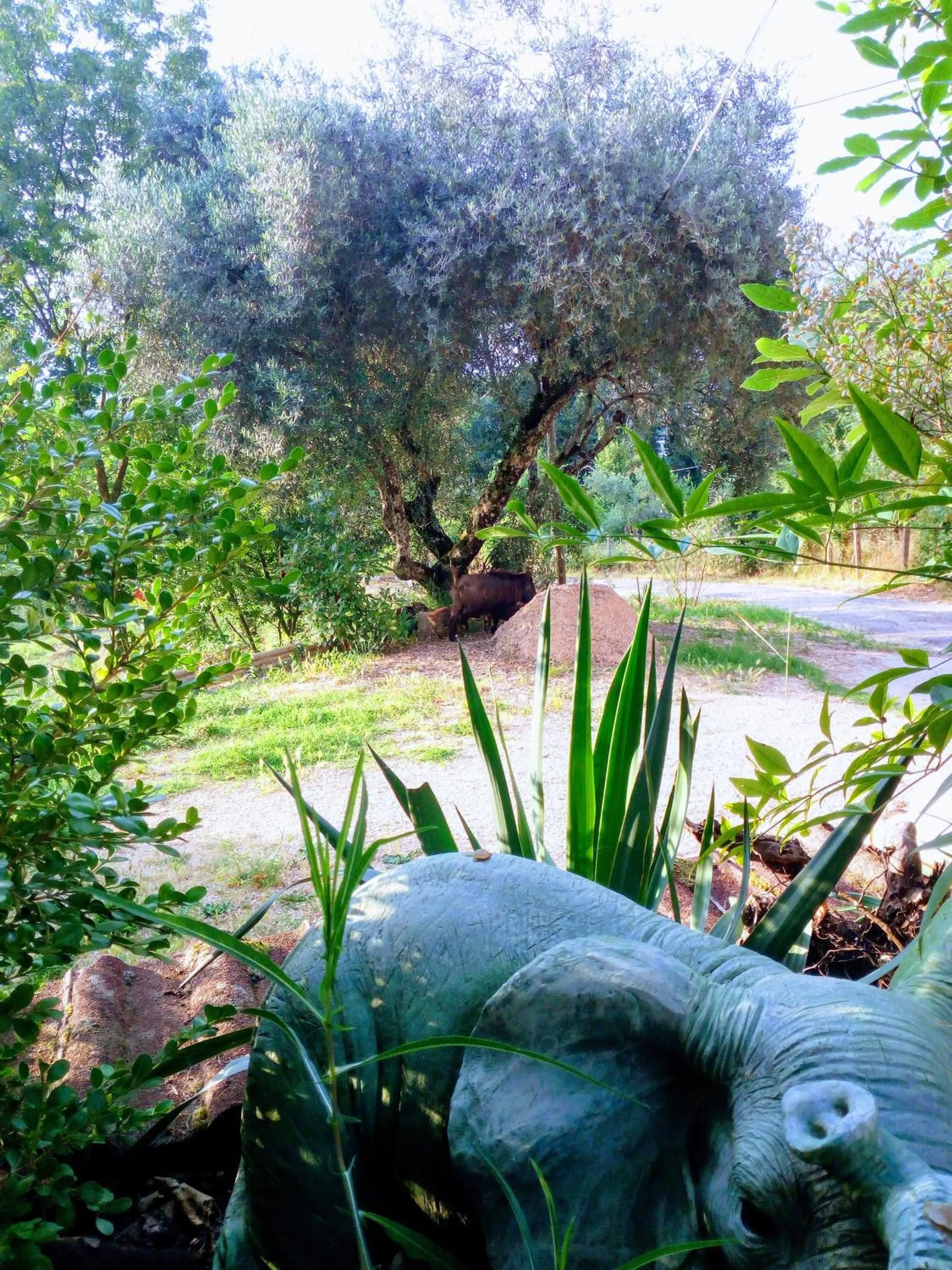 Garden in B&b Fabra Casa Mia e non solo