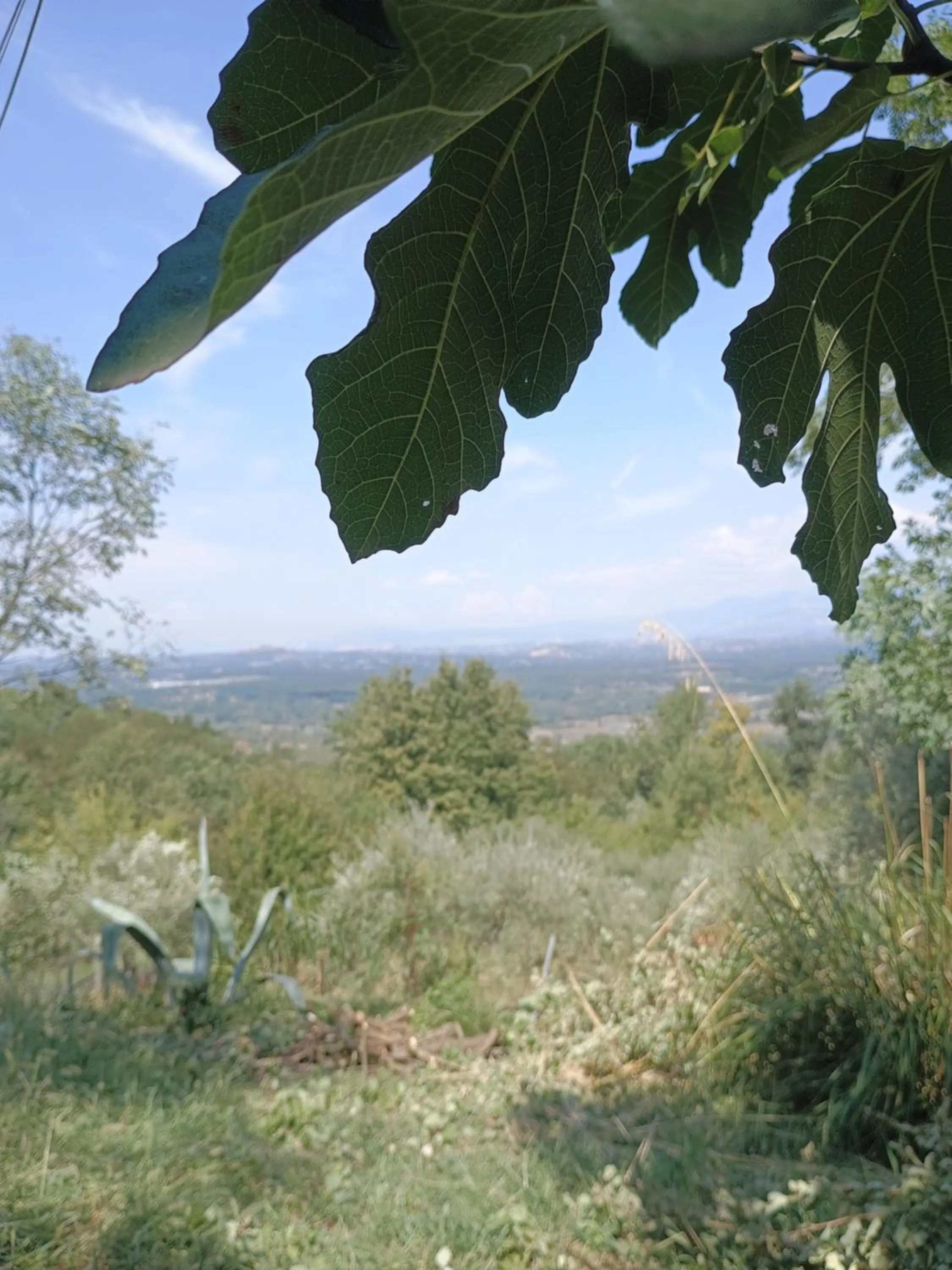 Natural landscape in B&b Fabra Casa Mia e non solo