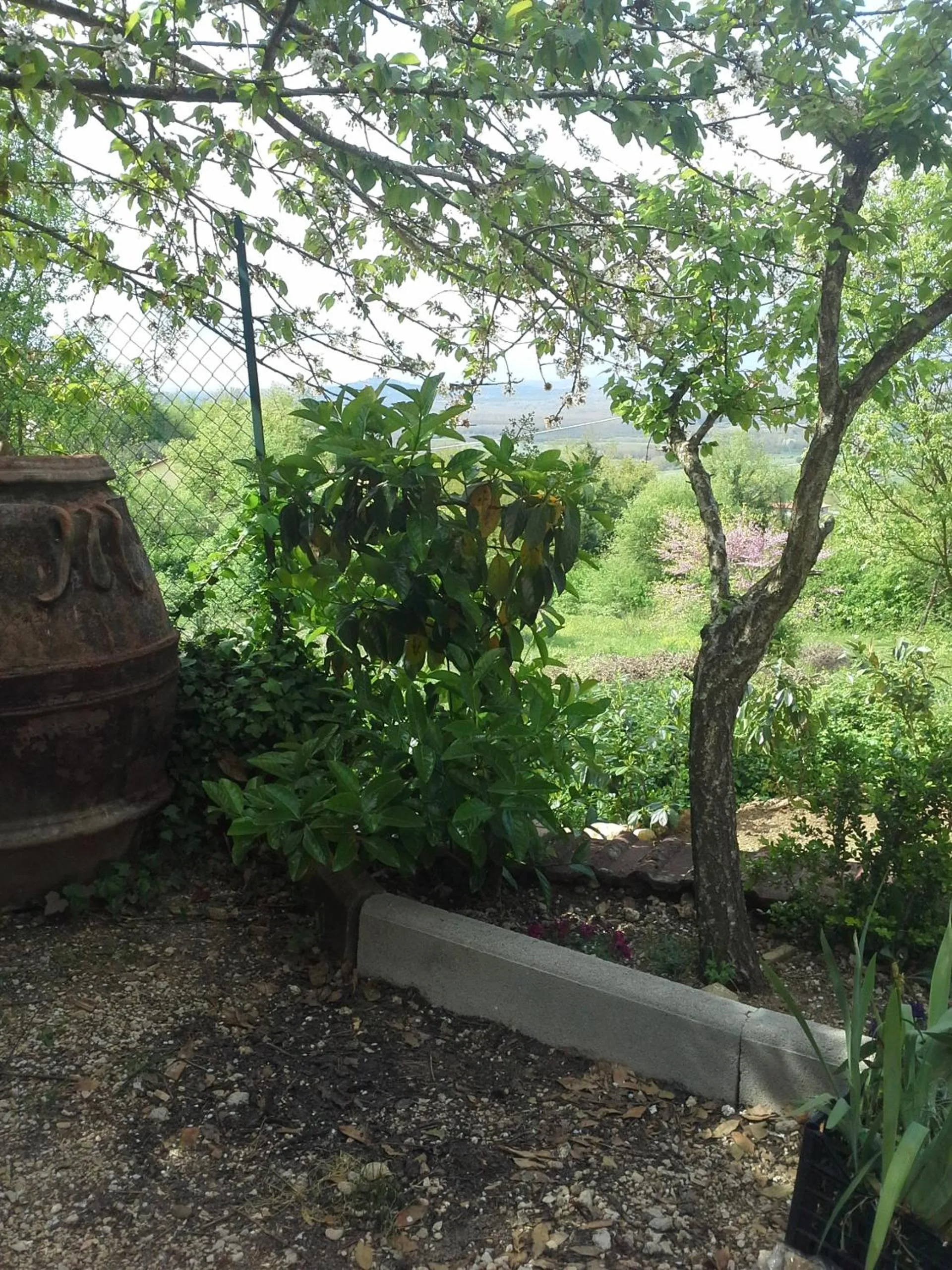 Garden in B&b Fabra Casa Mia e non solo