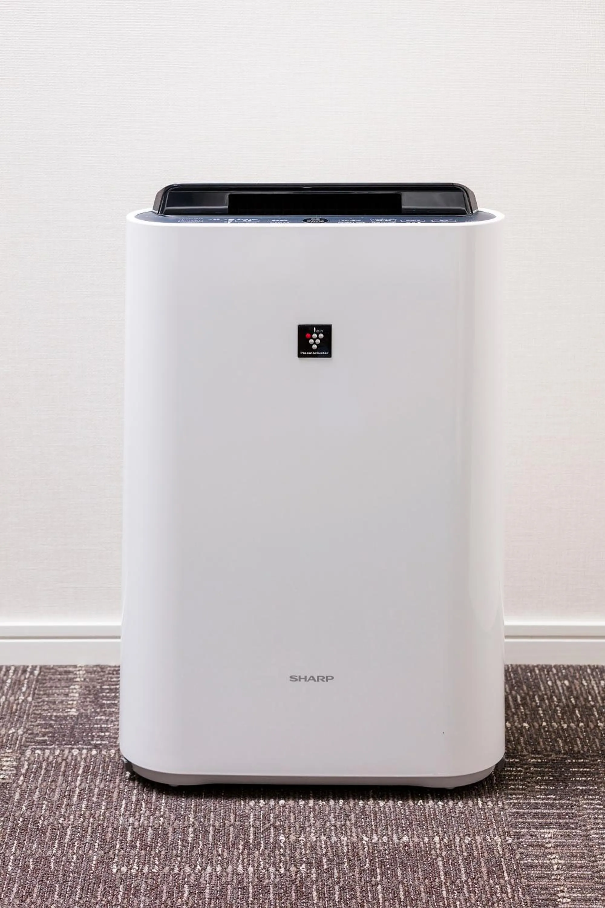 Decorative detail in Hotel Gran Cerezo Kagoshima