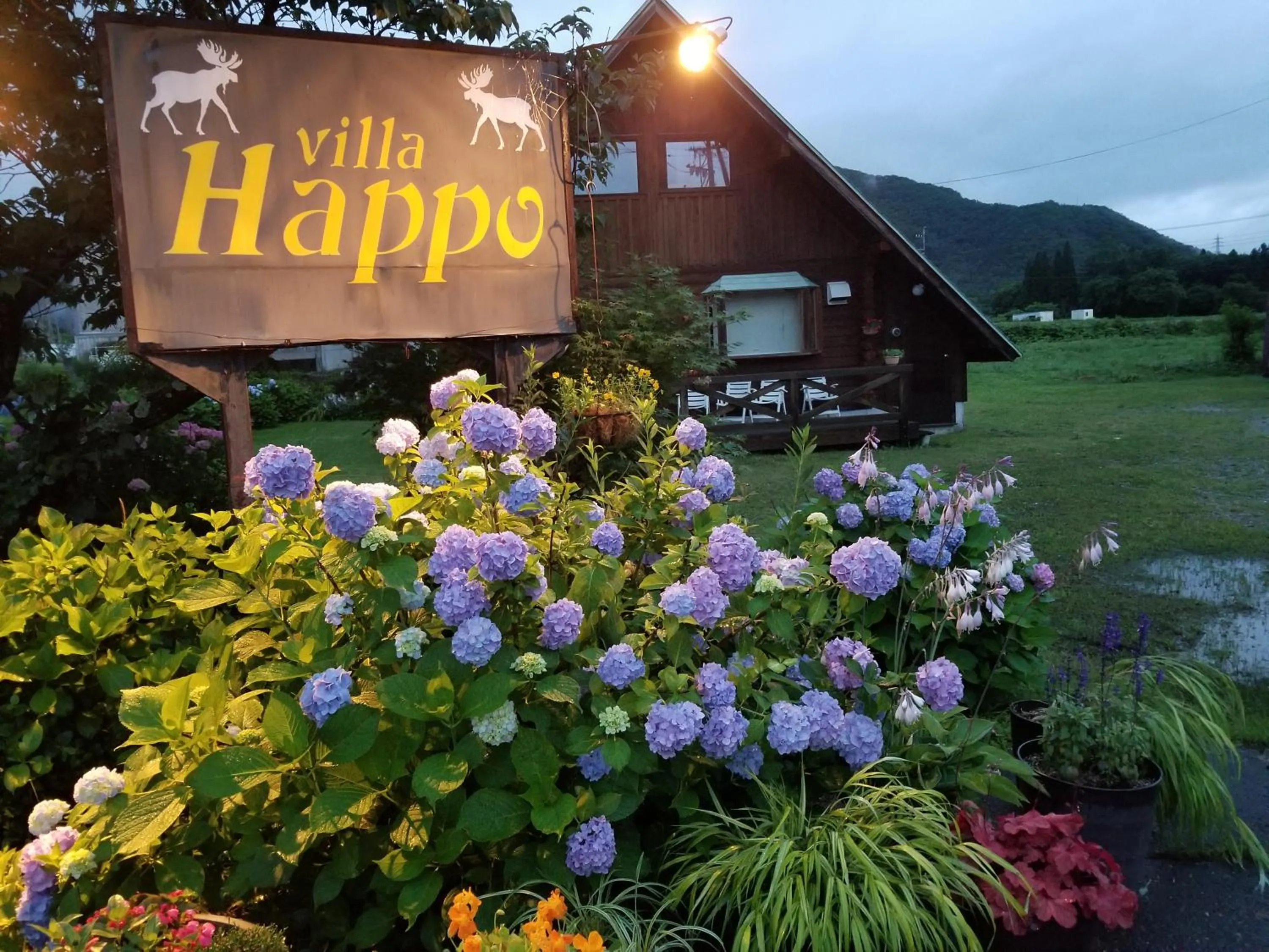 Log Cottage Villa Happo