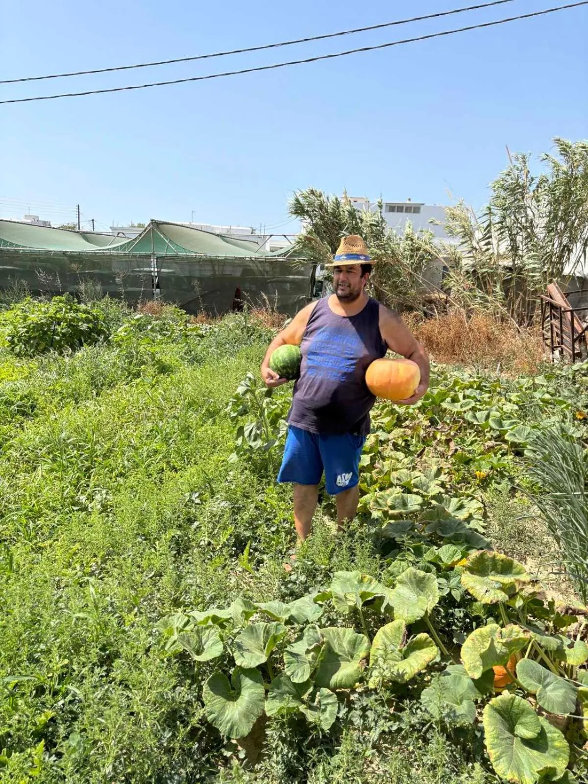 Garden in Birikos Hotel & Suites