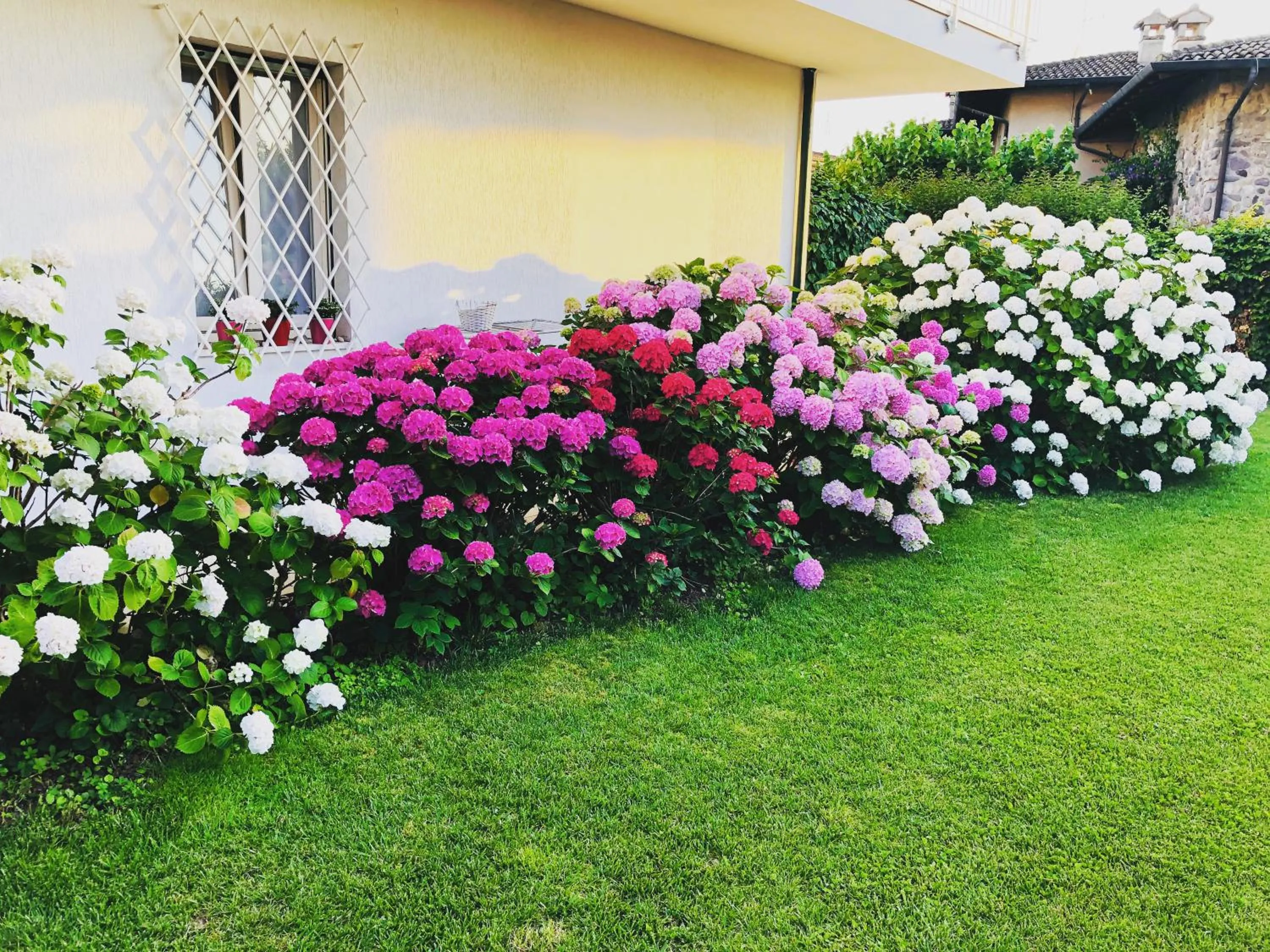 Garden in Bed and Breakfast da Beatrice