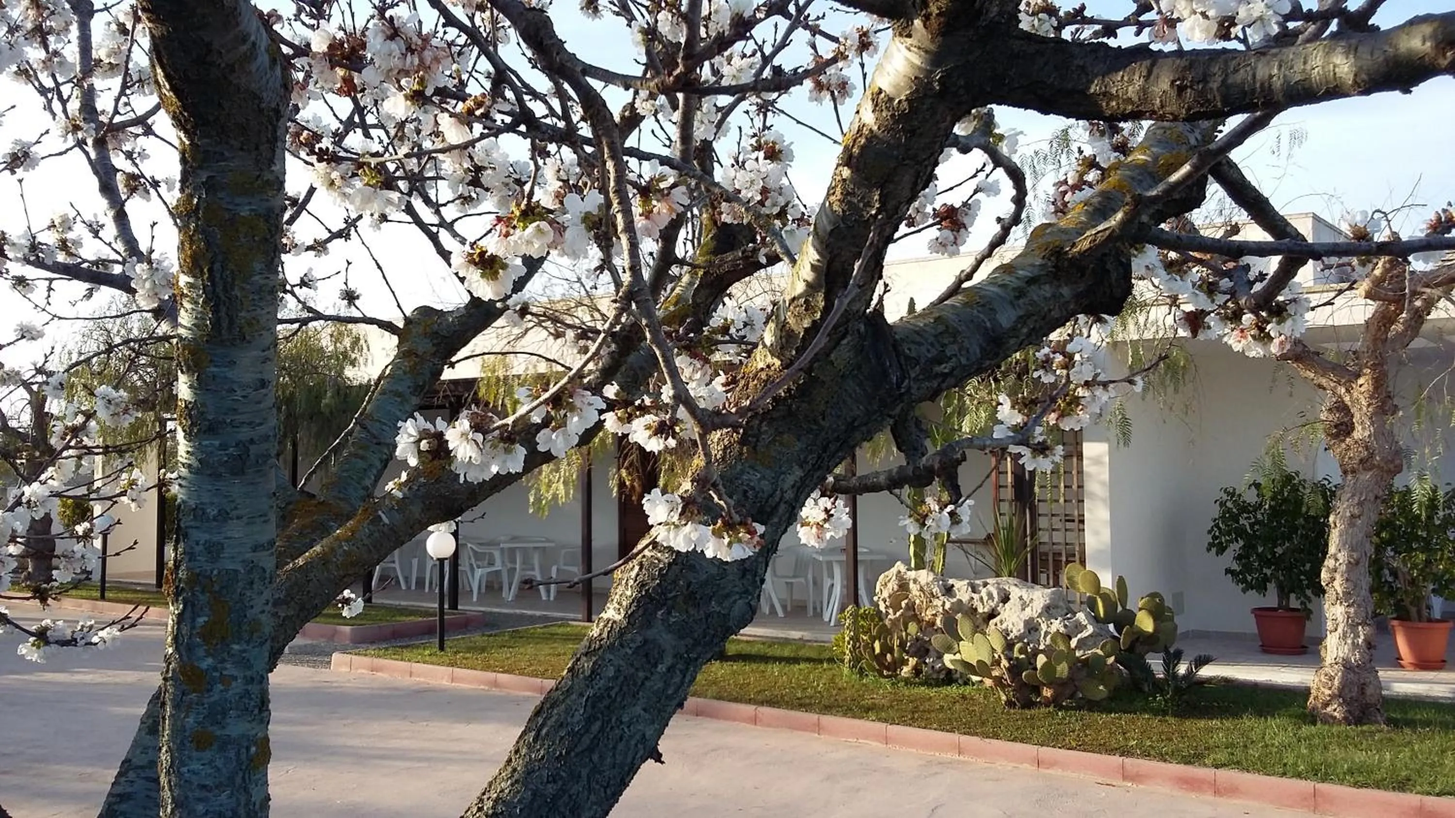 Property building in I Tre Ciliegi