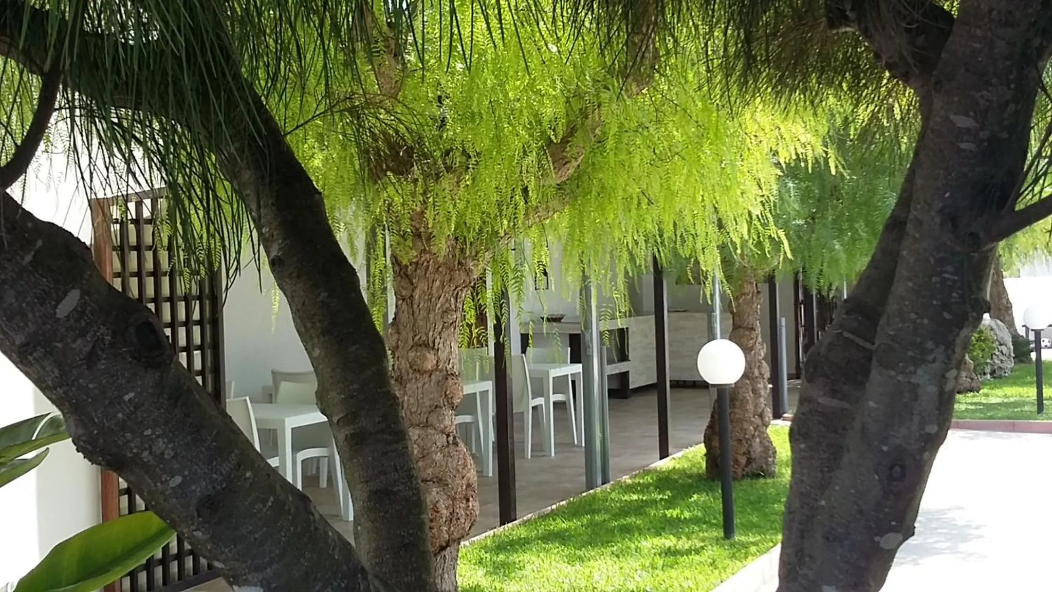 Garden in I Tre Ciliegi