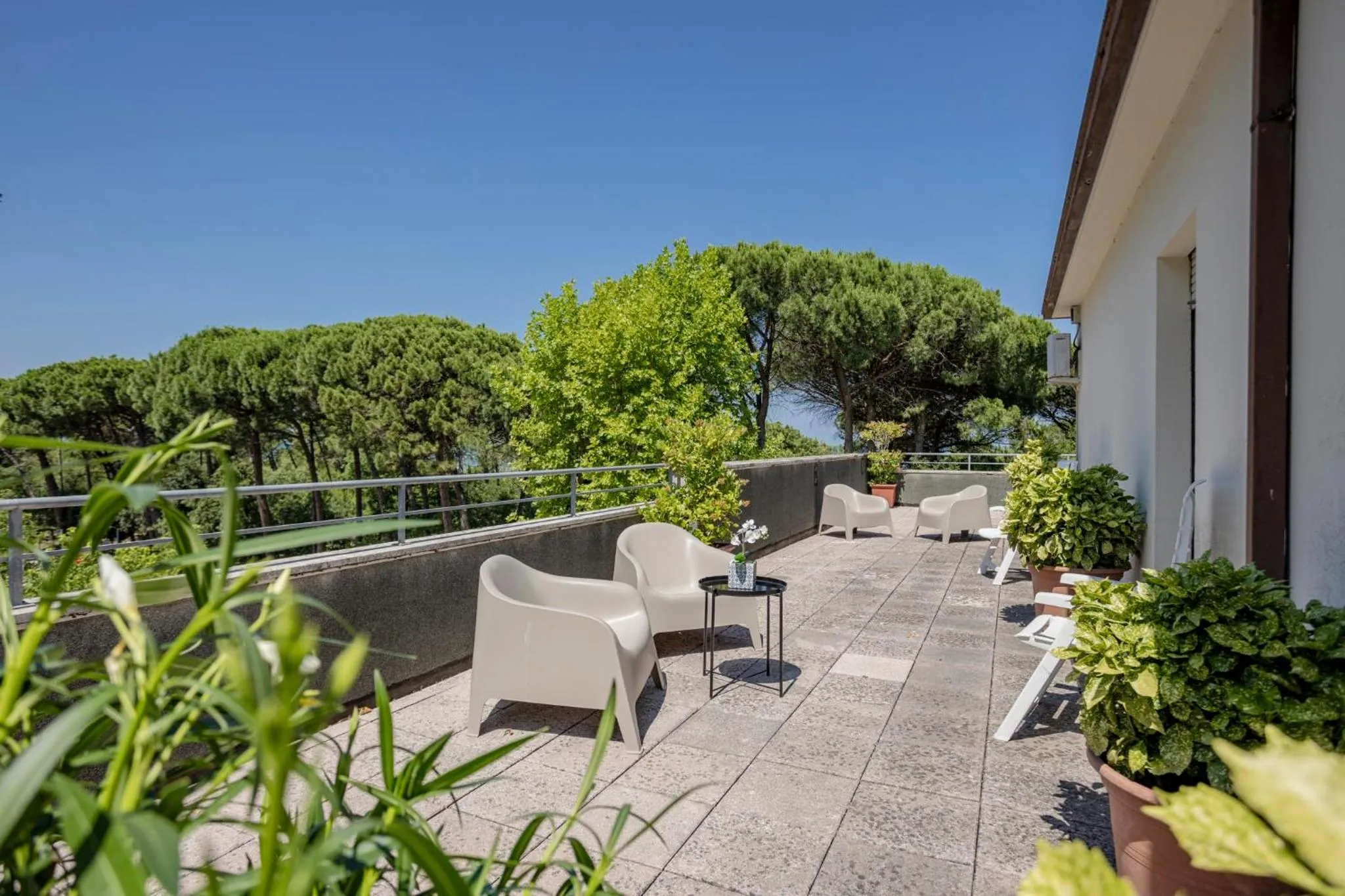 Balcony/Terrace in Hotel Stella Del Mare