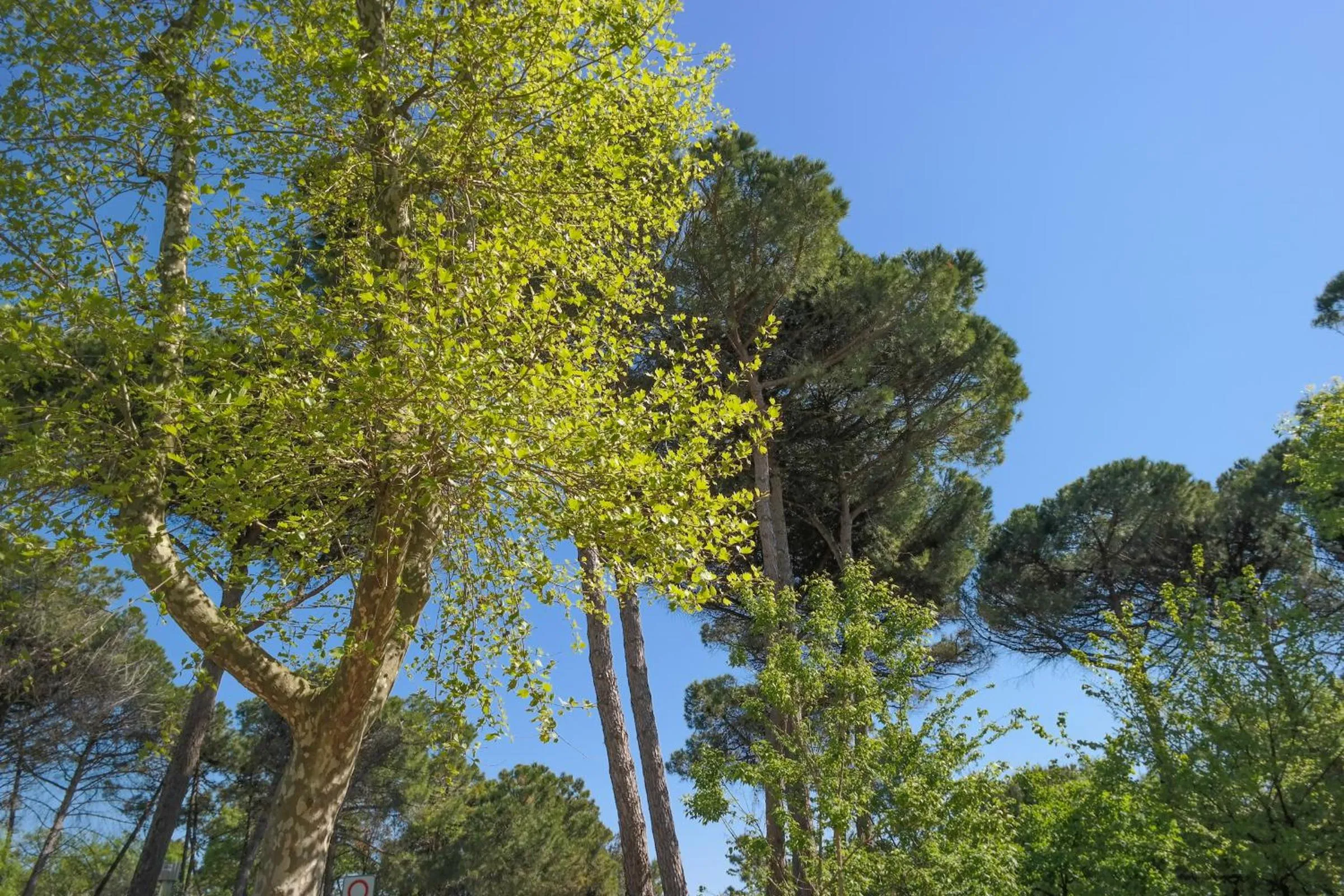 Other in Hotel Stella Del Mare