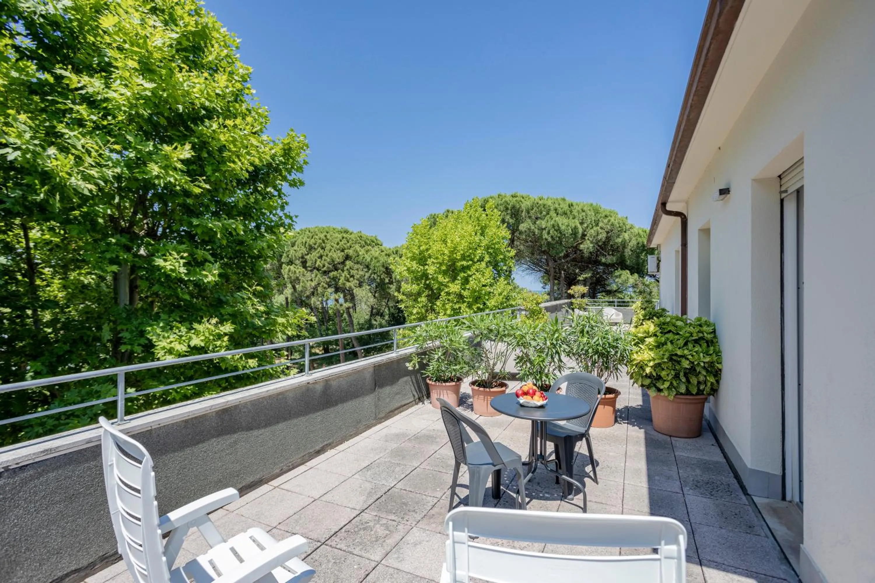 Balcony/Terrace in Hotel Stella Del Mare