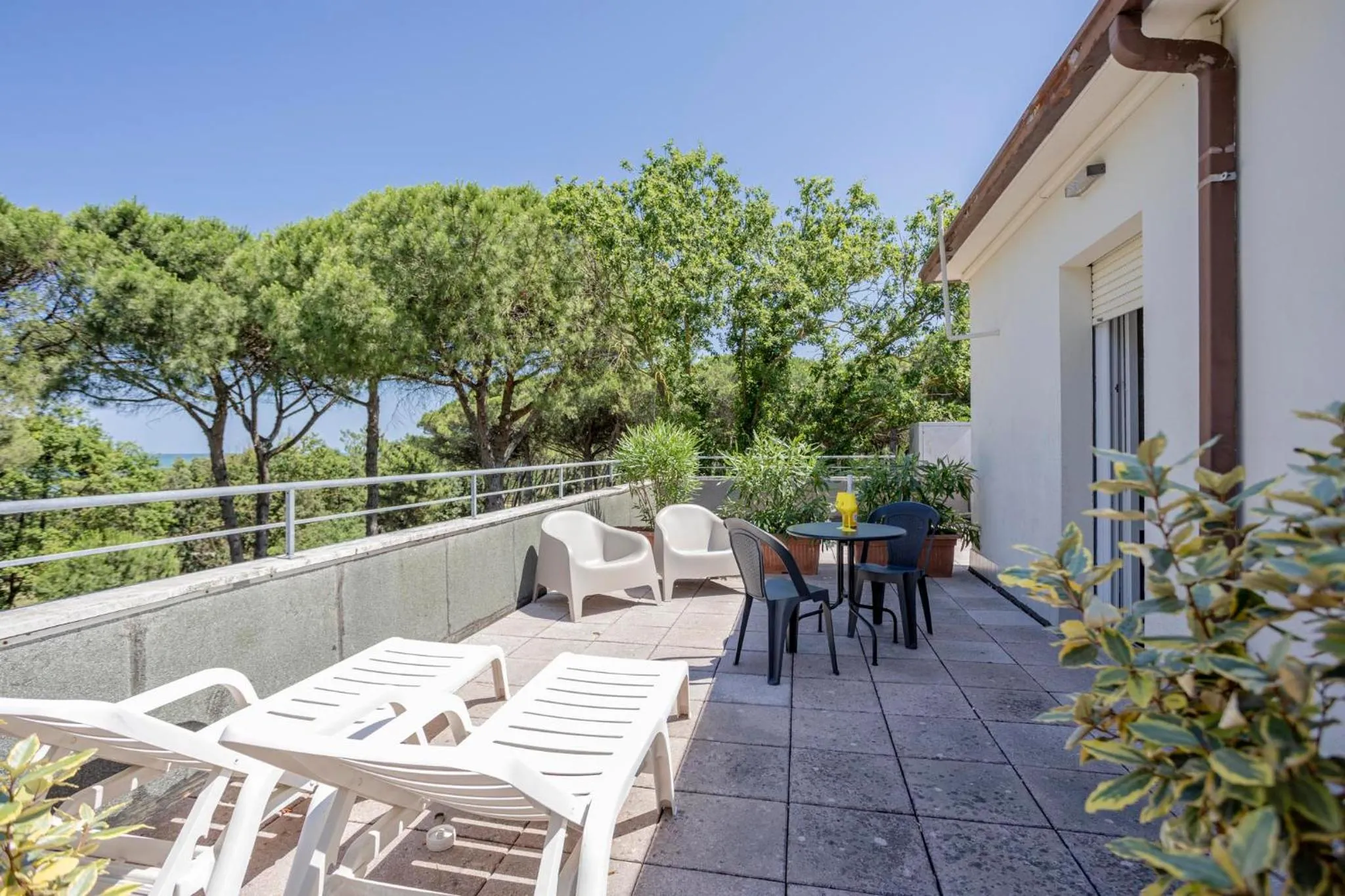 Balcony/Terrace in Hotel Stella Del Mare