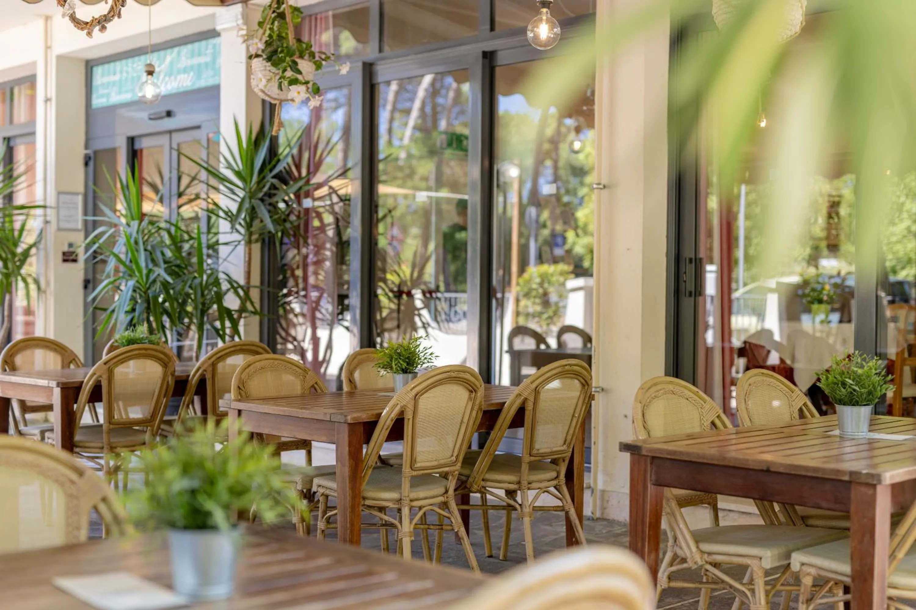 Garden in Hotel Stella Del Mare