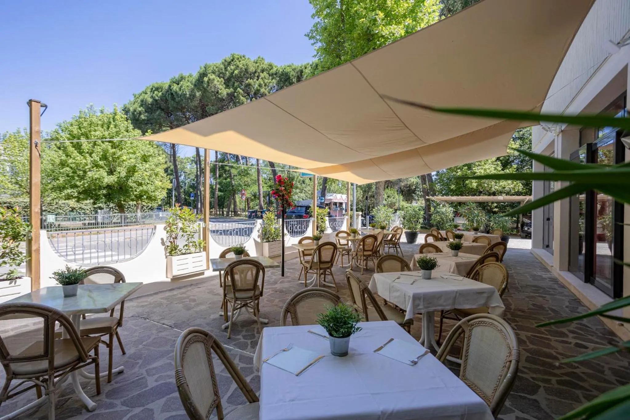 Facade/entrance in Hotel Stella Del Mare