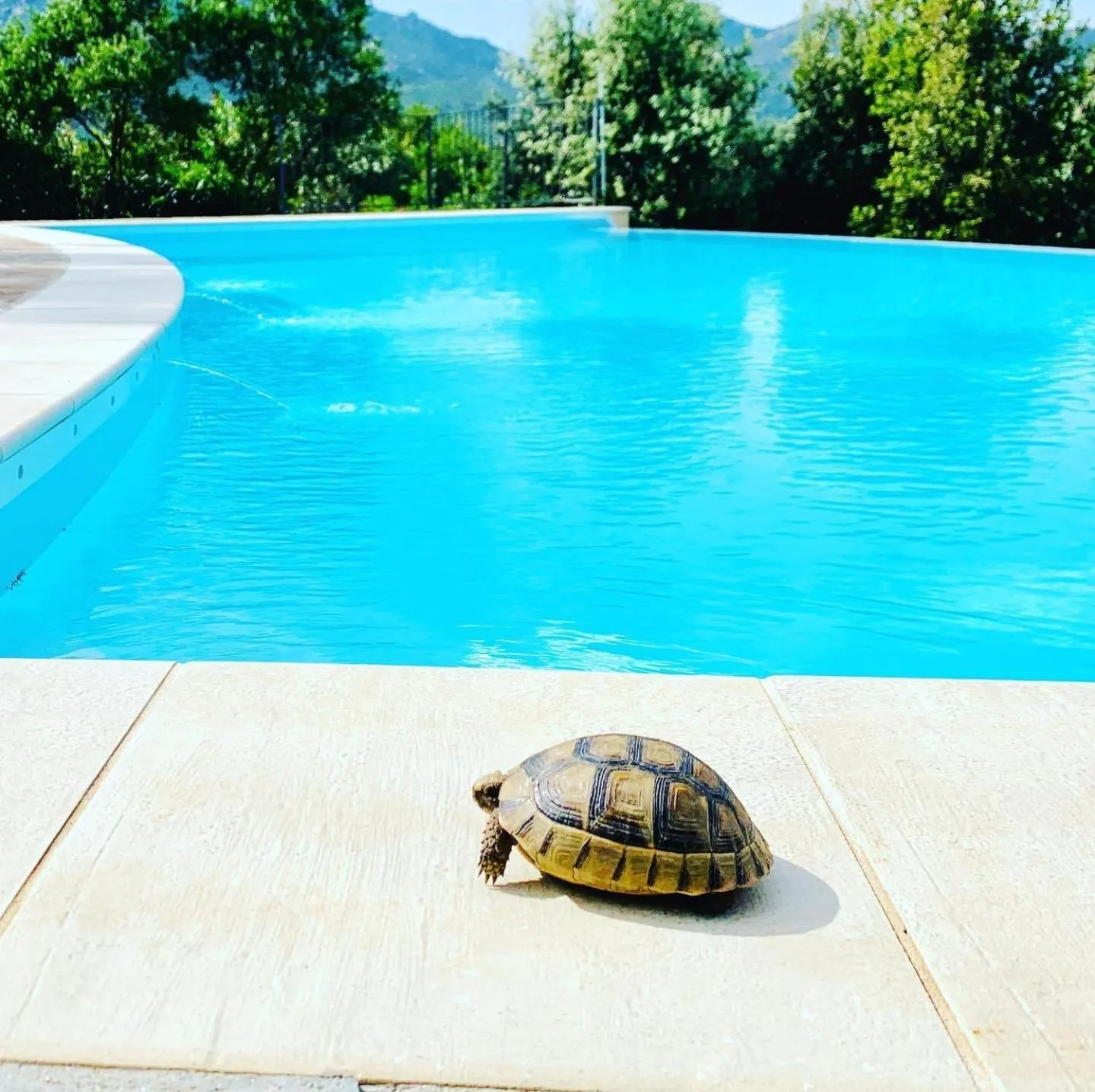 Swimming pool in Villa Anastasia
