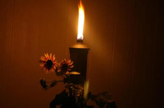 Night in Dreamcatcher Bed and Breakfast