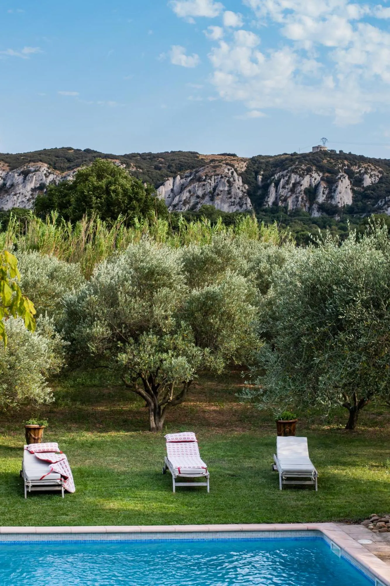 Garden view in Mas de l'arrivette