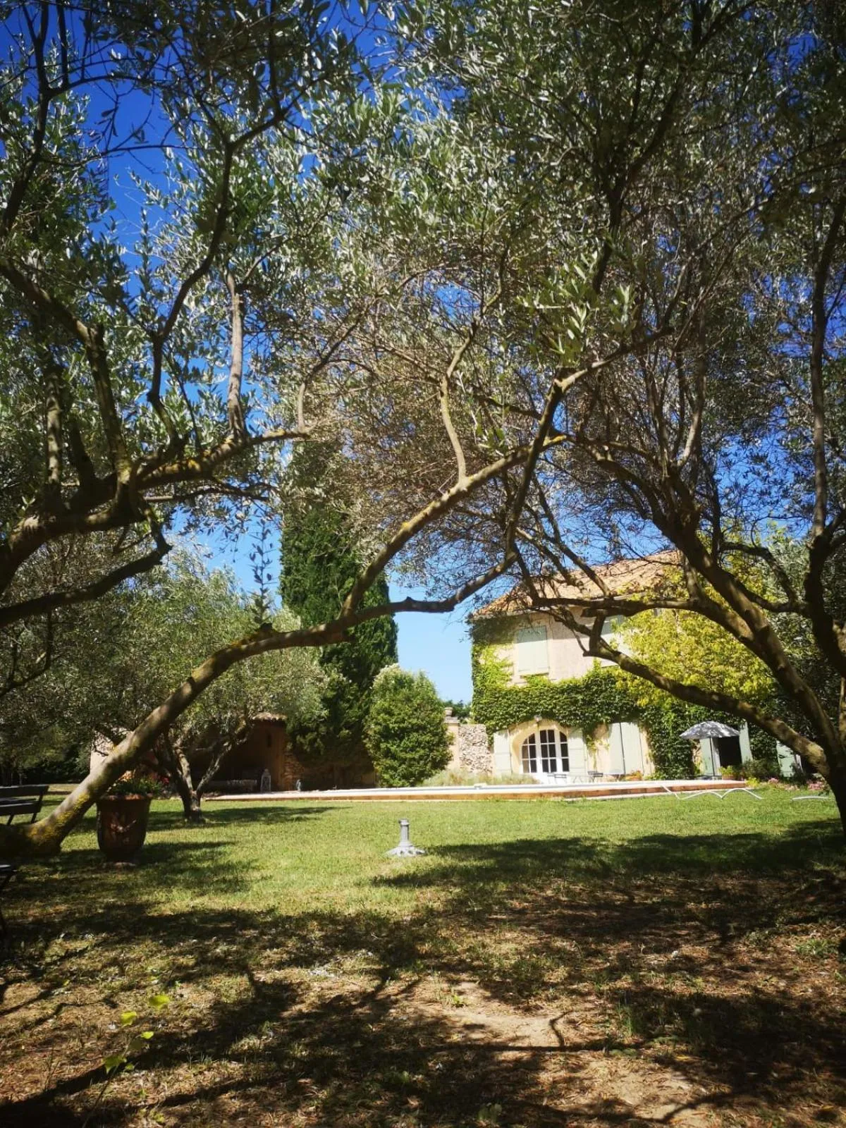 Natural landscape in Mas de l'arrivette