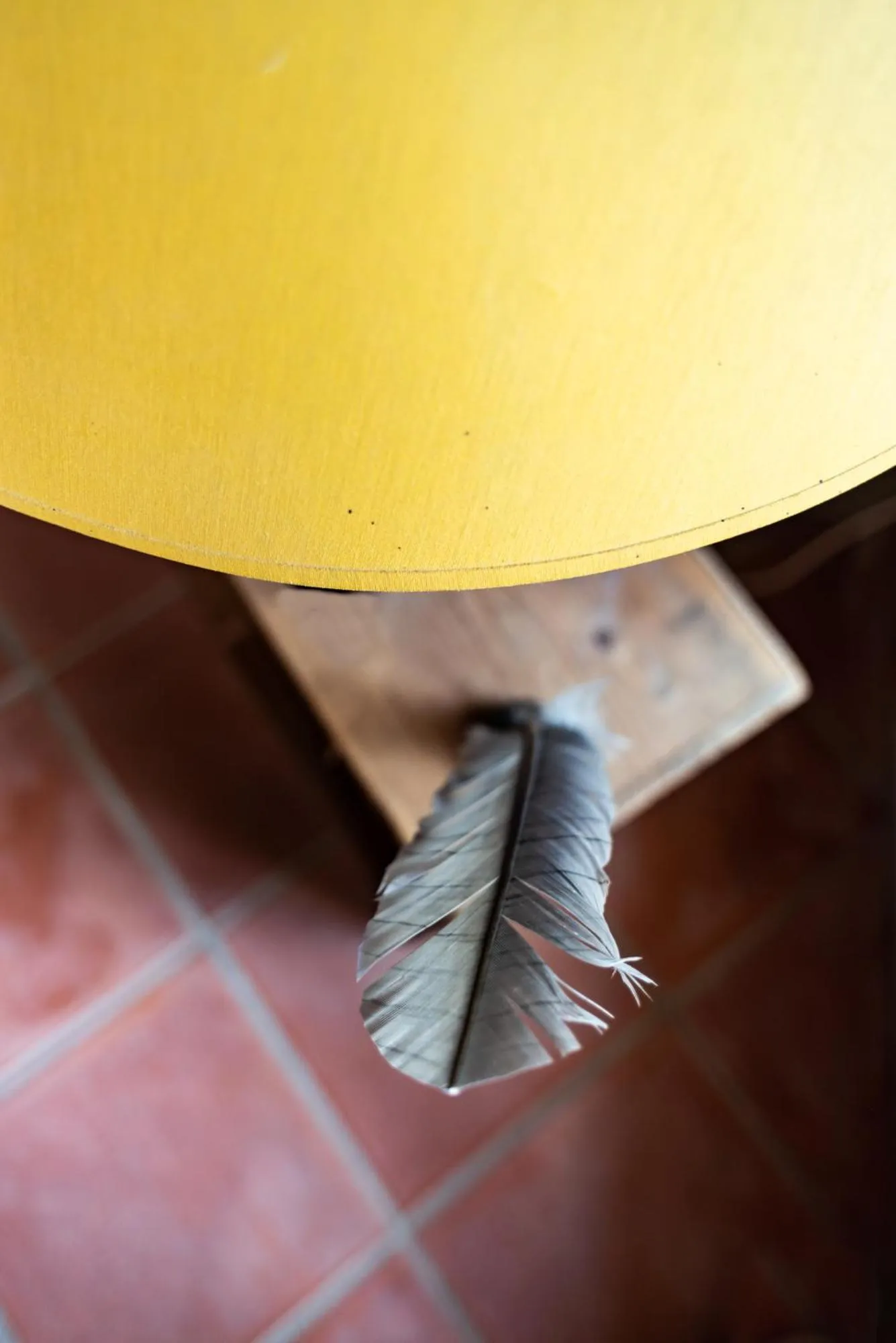 Decorative detail in Mas de l'arrivette