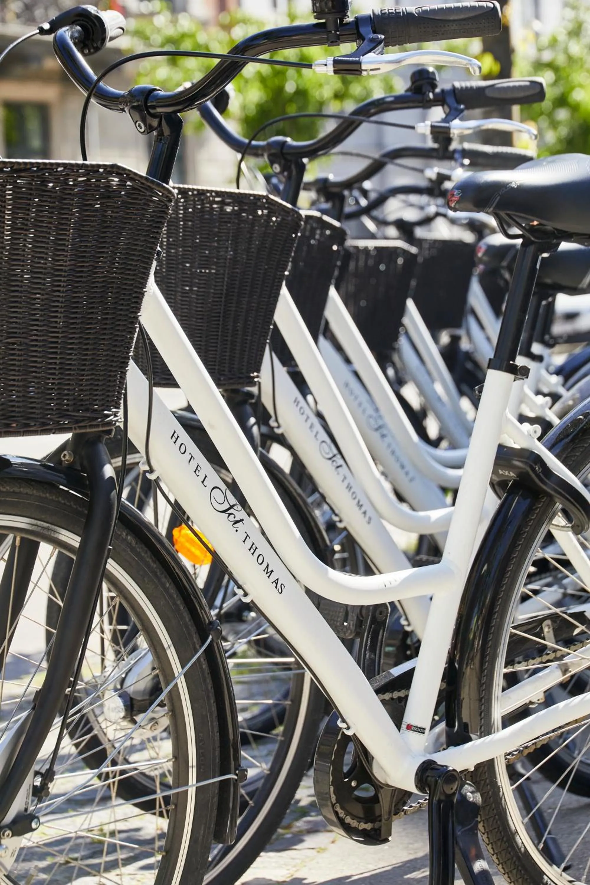 Cycling in Hotel Sct. Thomas