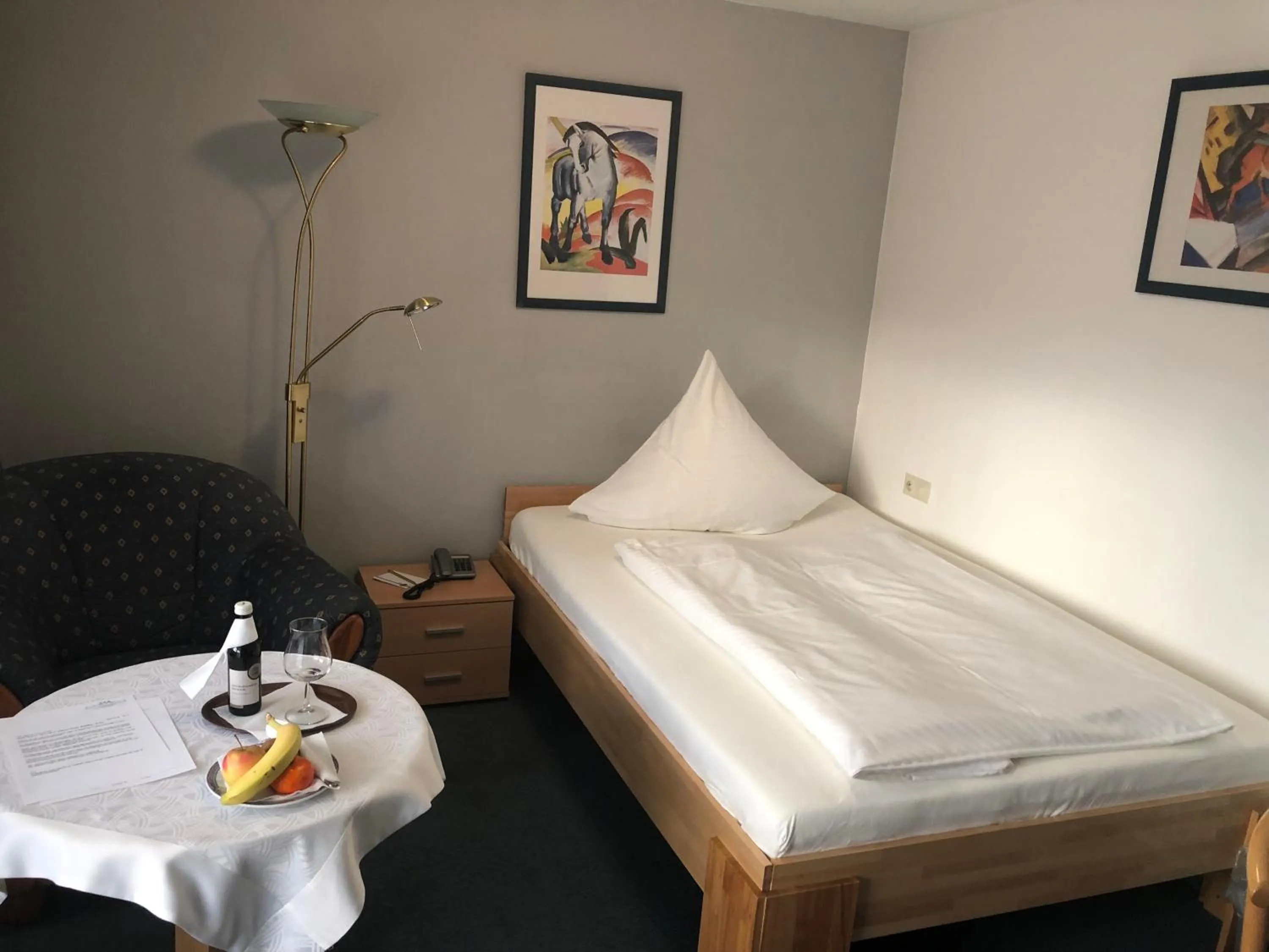 Single Room - single occupancy in Hotel Breitenbacher Hof