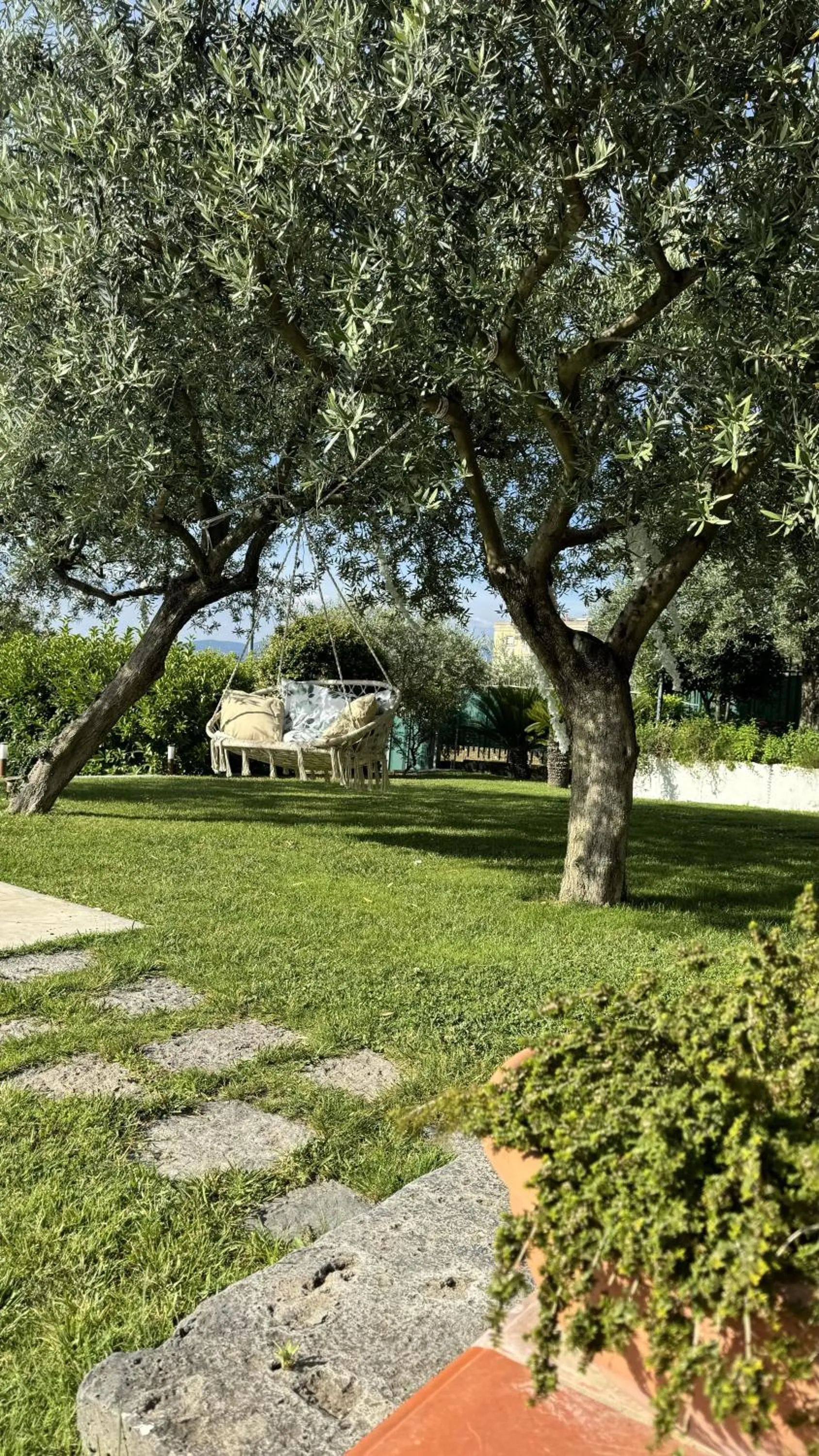Garden in Villa C Luxury Estate