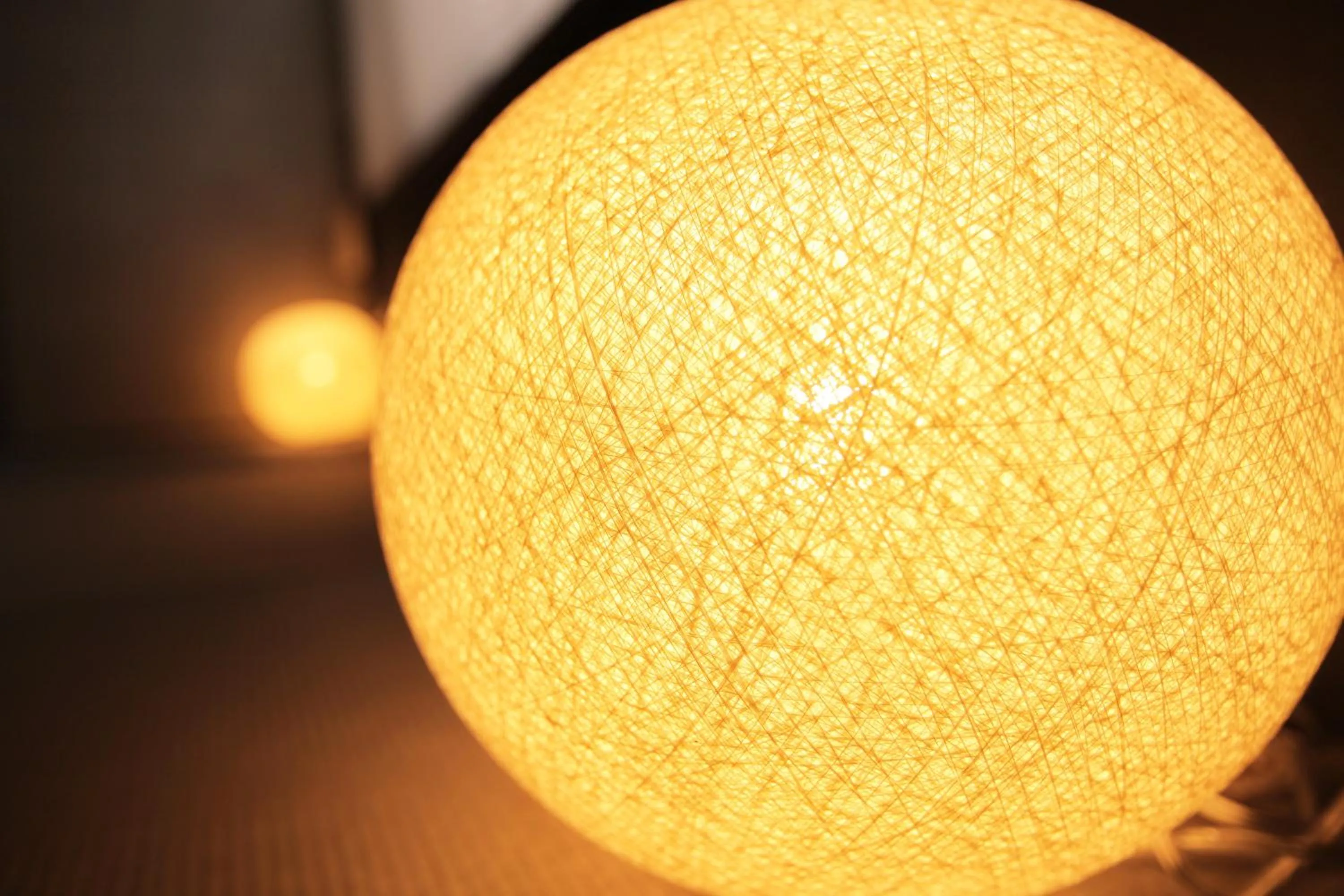 Decorative detail in Hosta Nijo Aoi