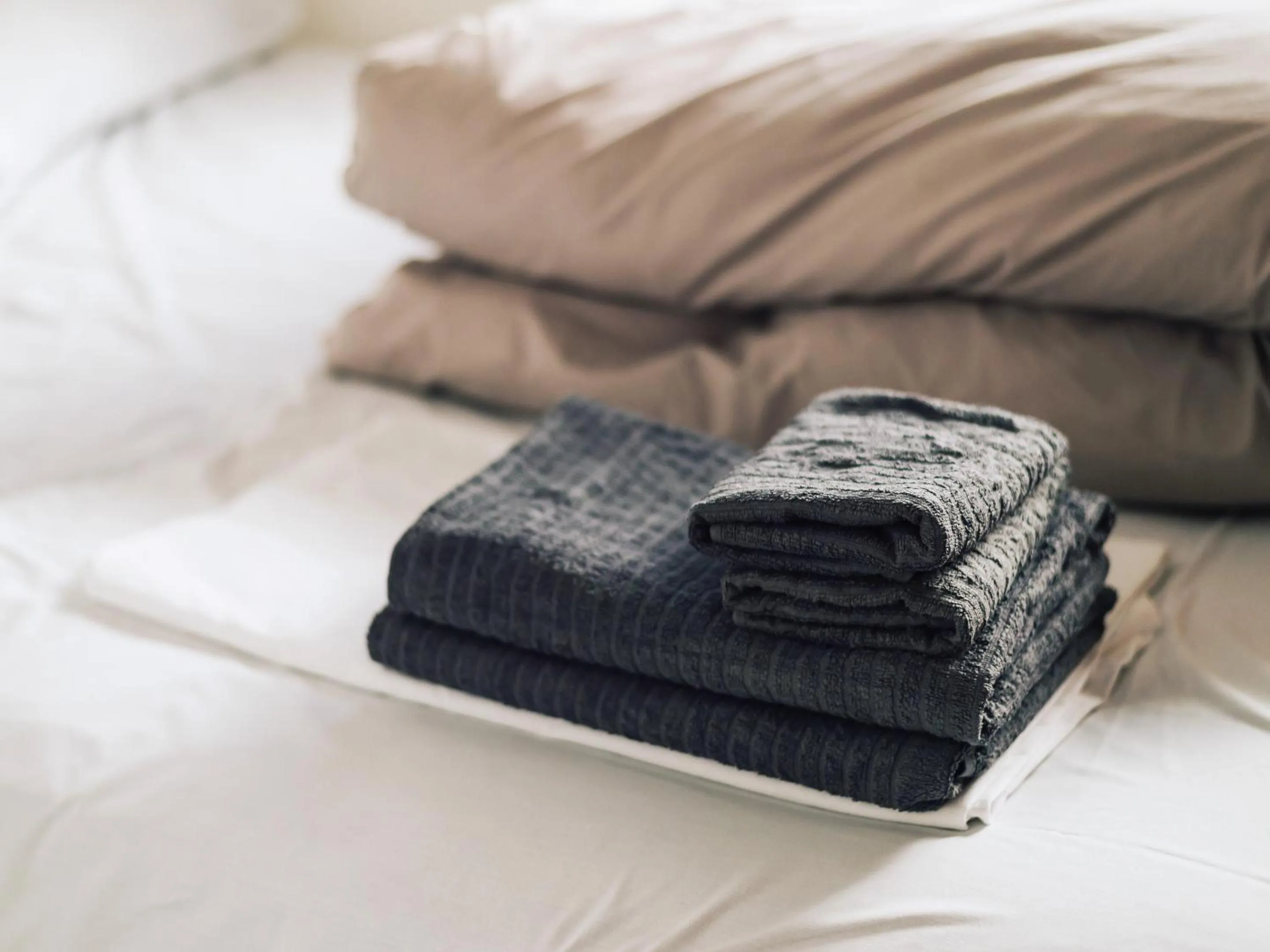 Area and facilities, Bed in guesthouse SHIBAFU