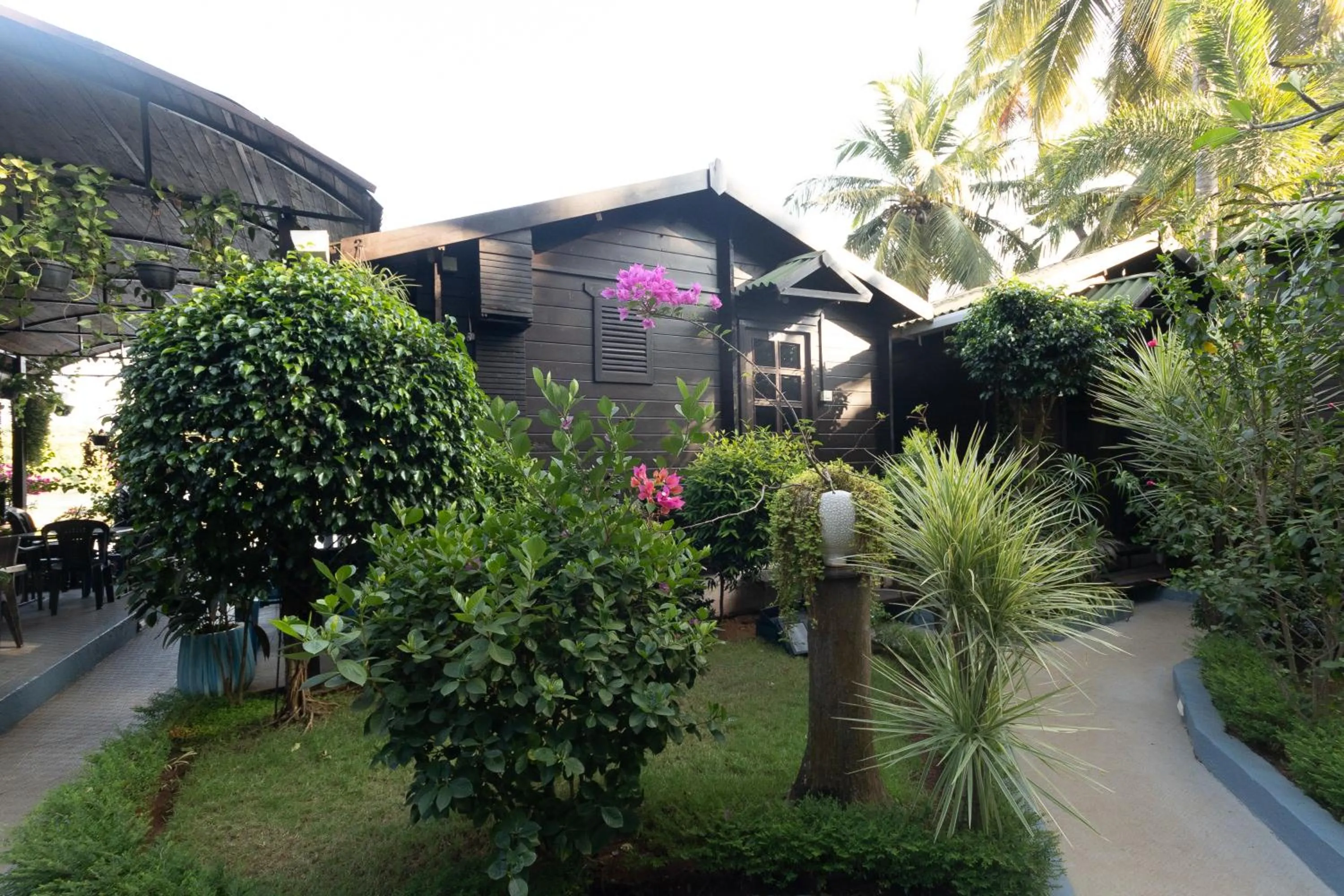 Garden view in Sal Riviera