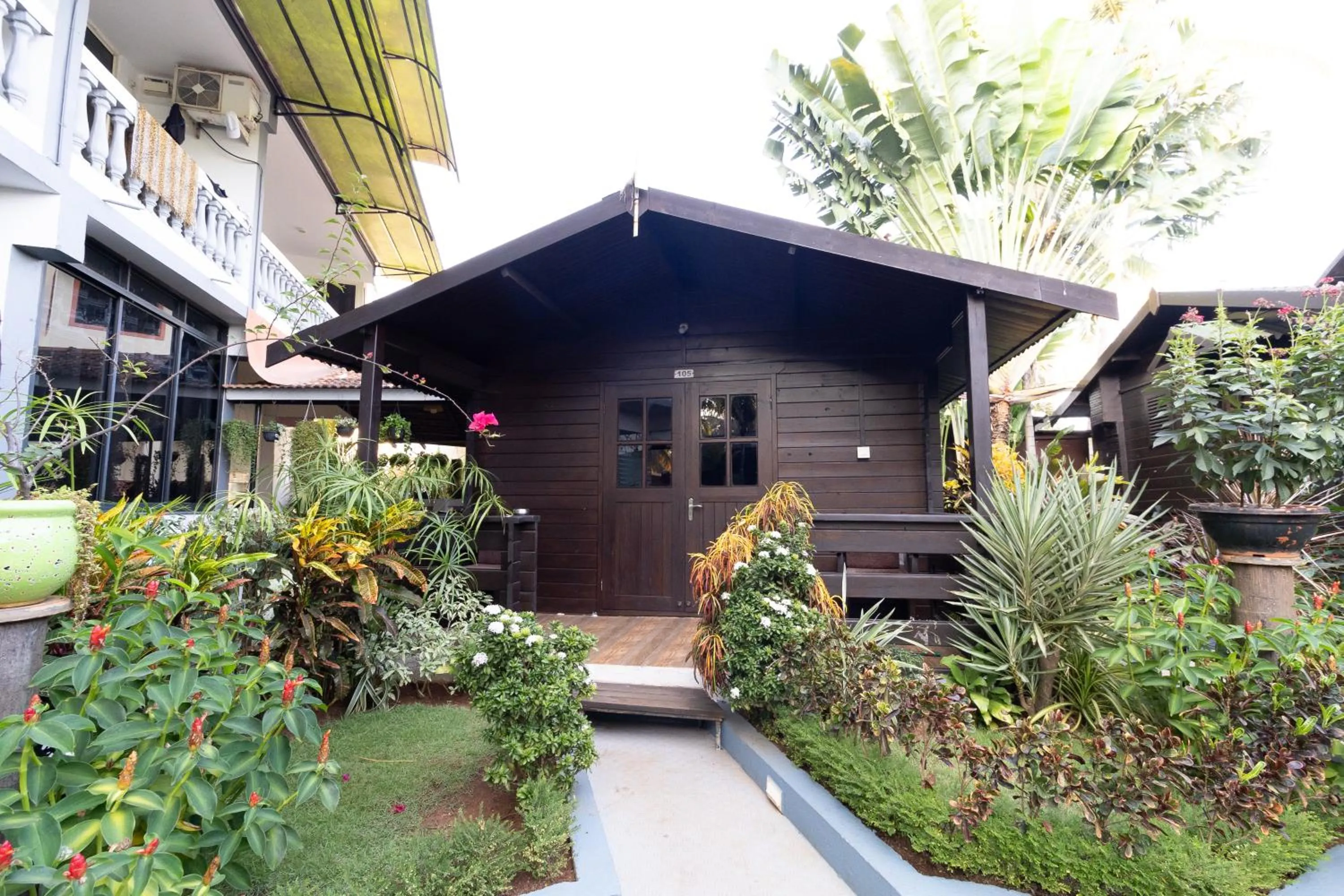 Garden view in Sal Riviera