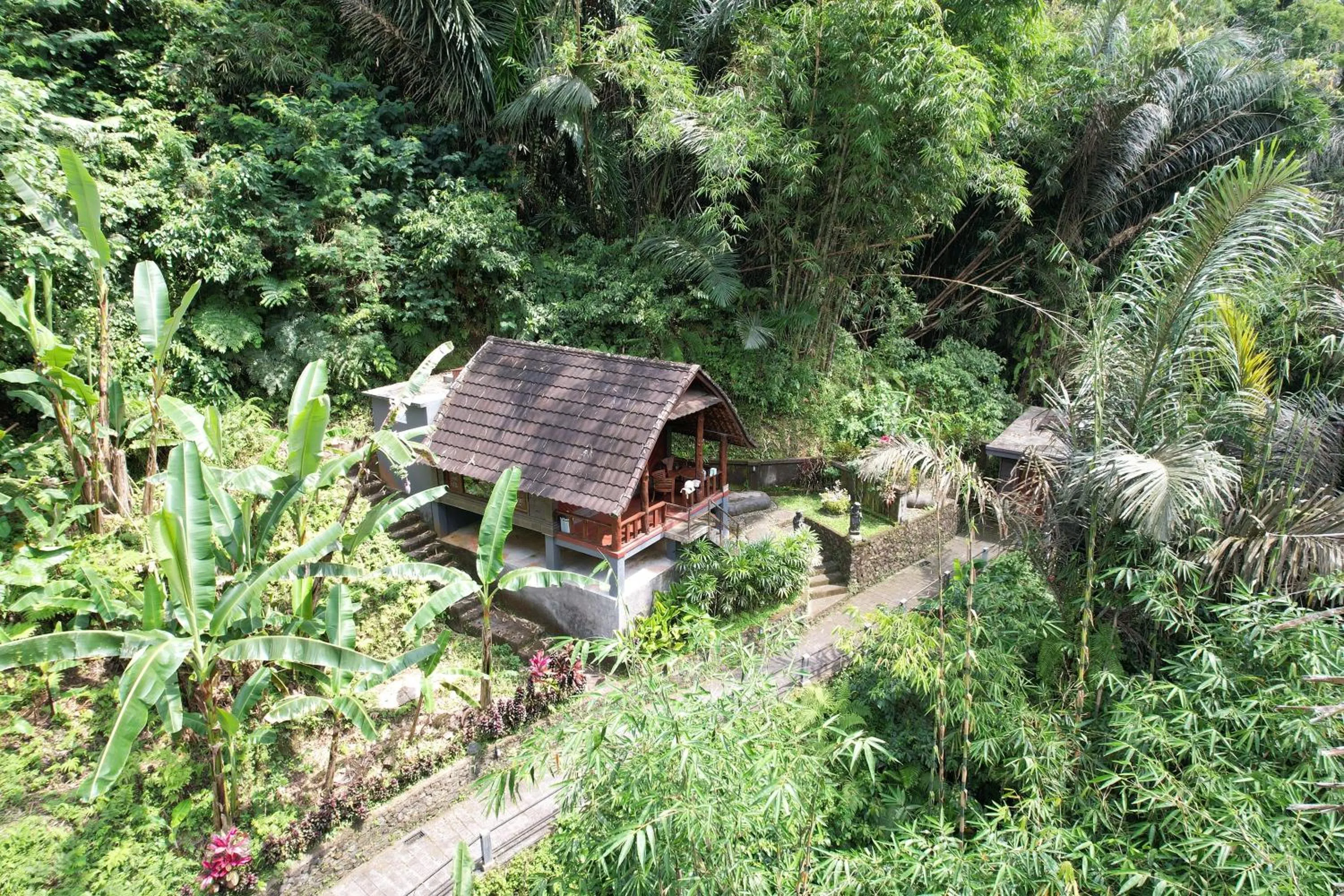Property building in Bali Jungle Resort