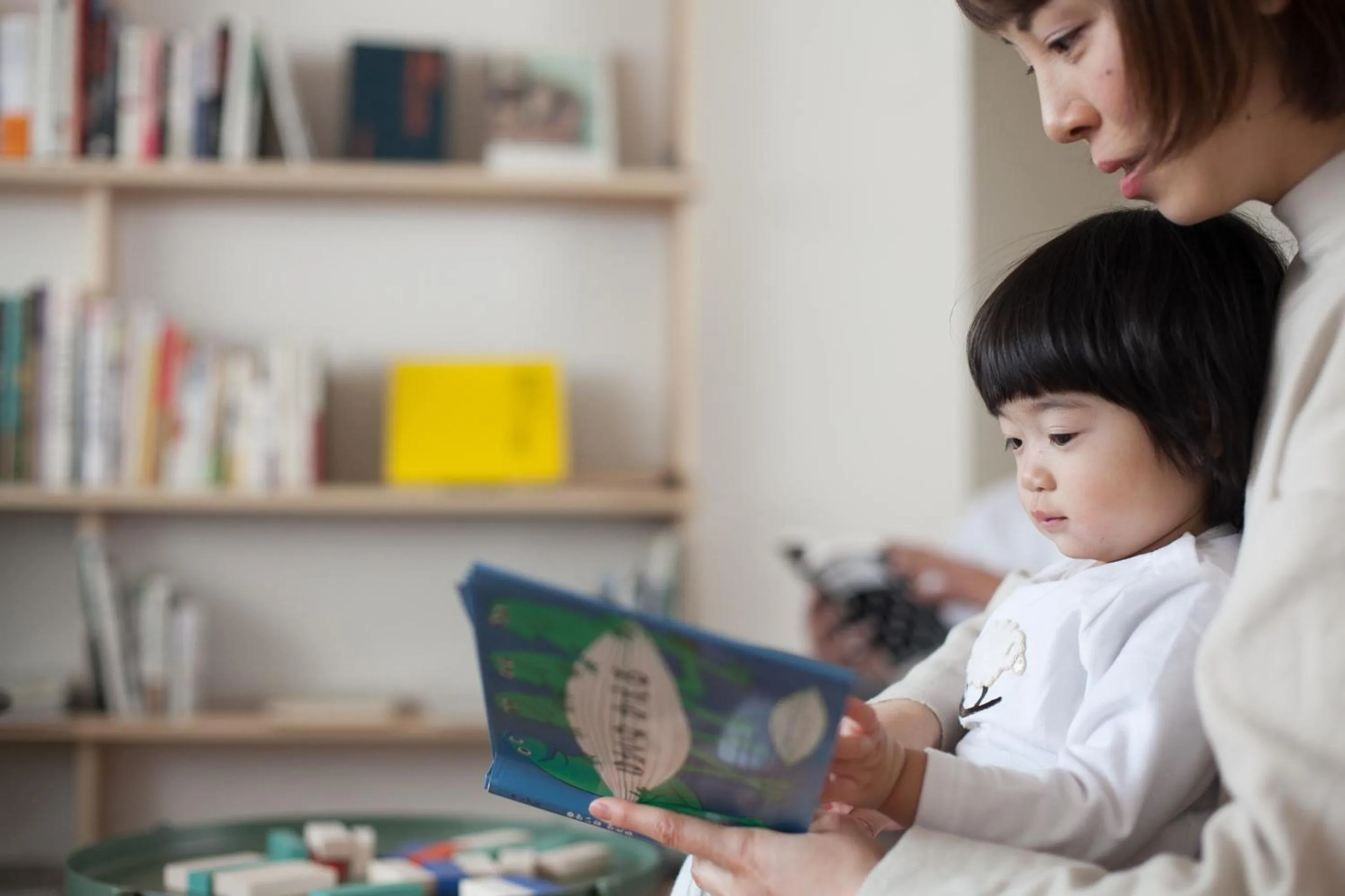 Library in INTRO Tamagawa