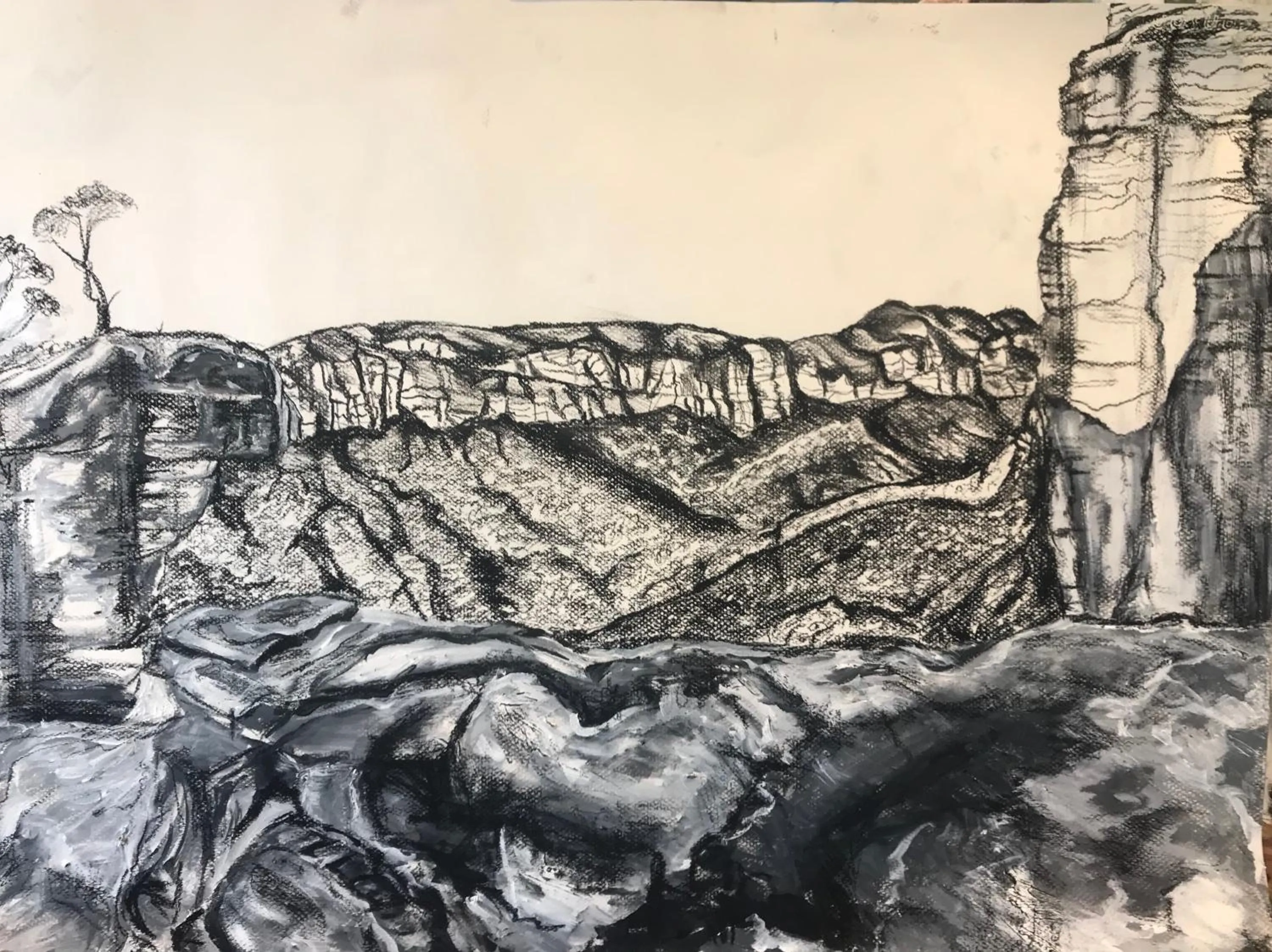 Natural landscape in Flying Fox Backpackers