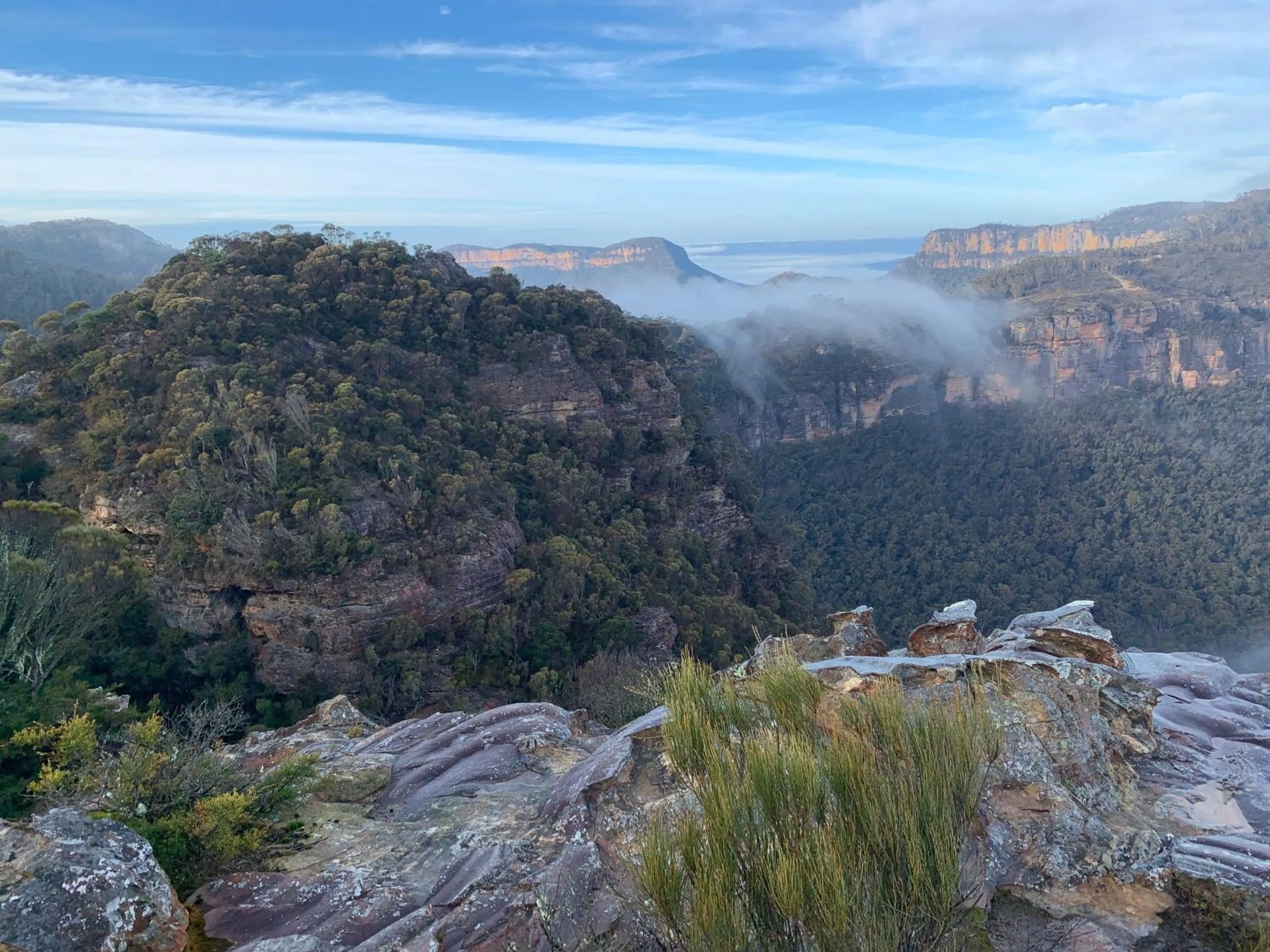 Nearby landmark in Flying Fox Backpackers