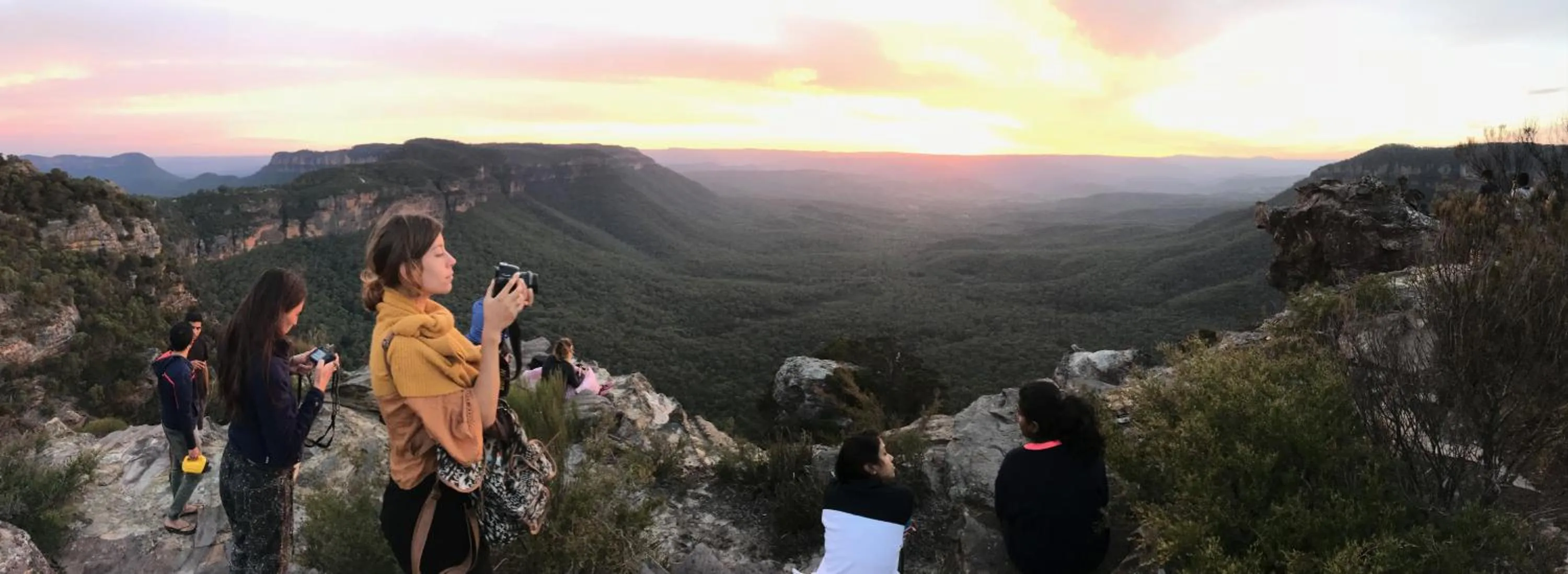Natural landscape in Flying Fox Backpackers