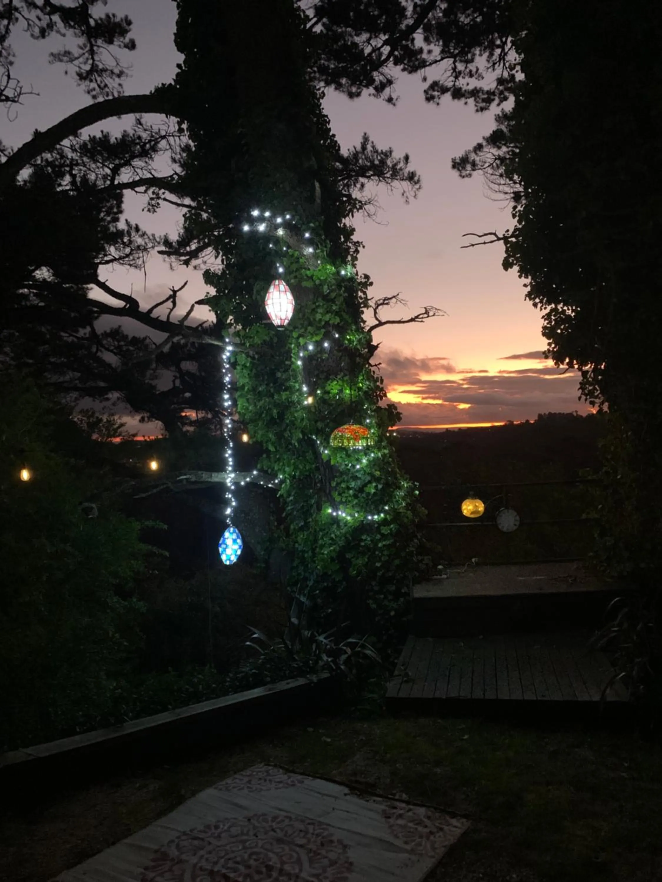 Flying Fox Backpackers