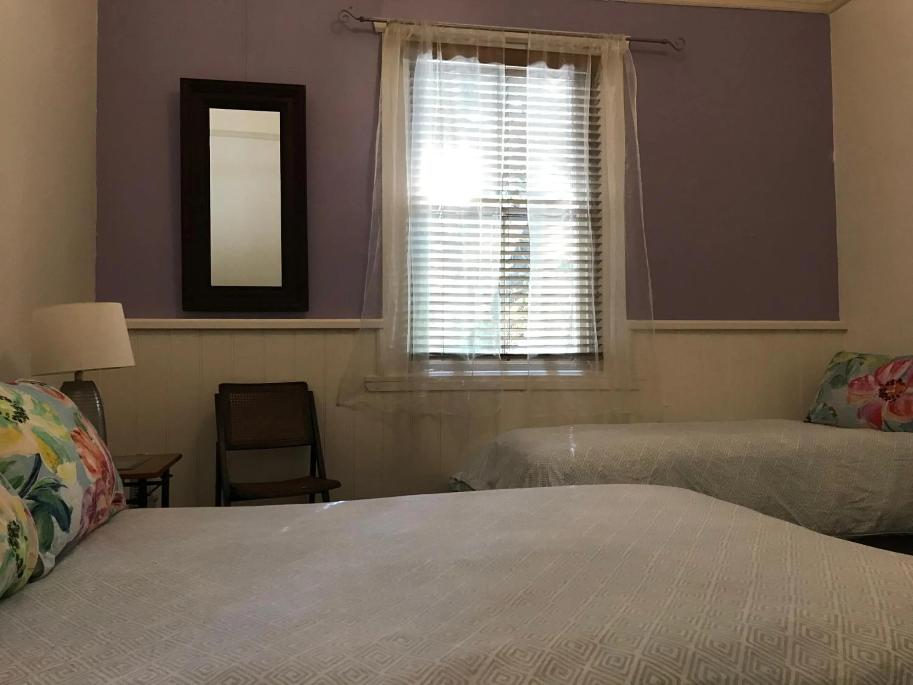 Bed in Flying Fox Backpackers