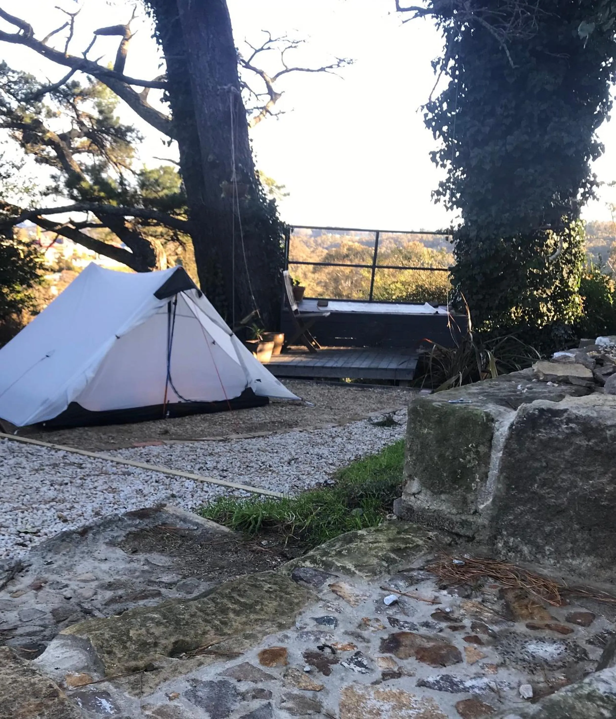 Lounge or bar in Flying Fox Backpackers