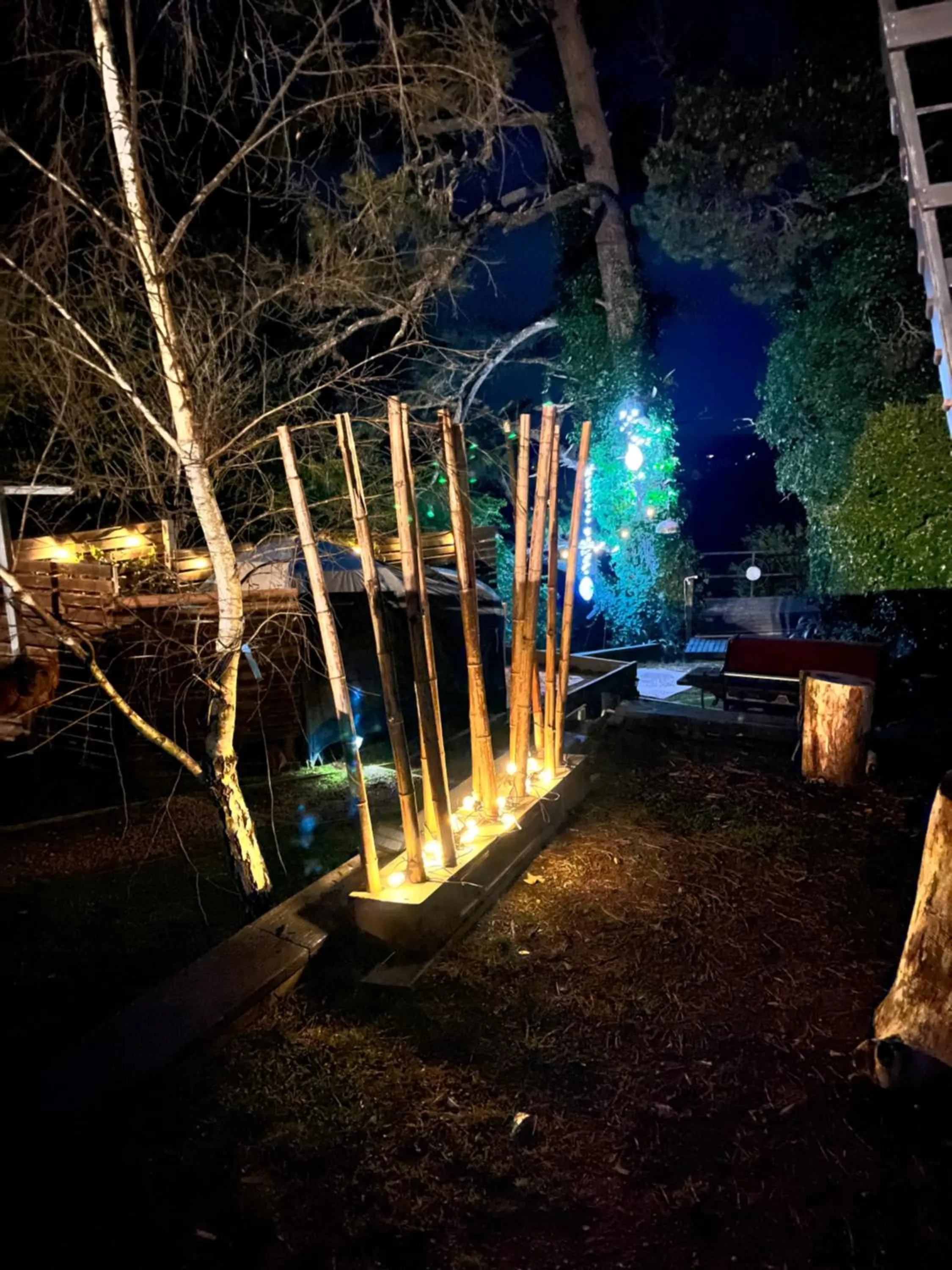 Night in Flying Fox Backpackers