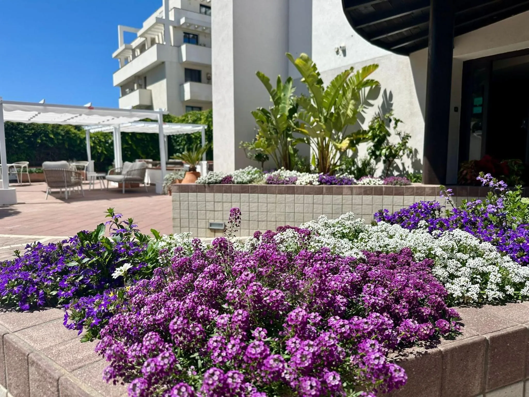 Property building in Hotel Calabona