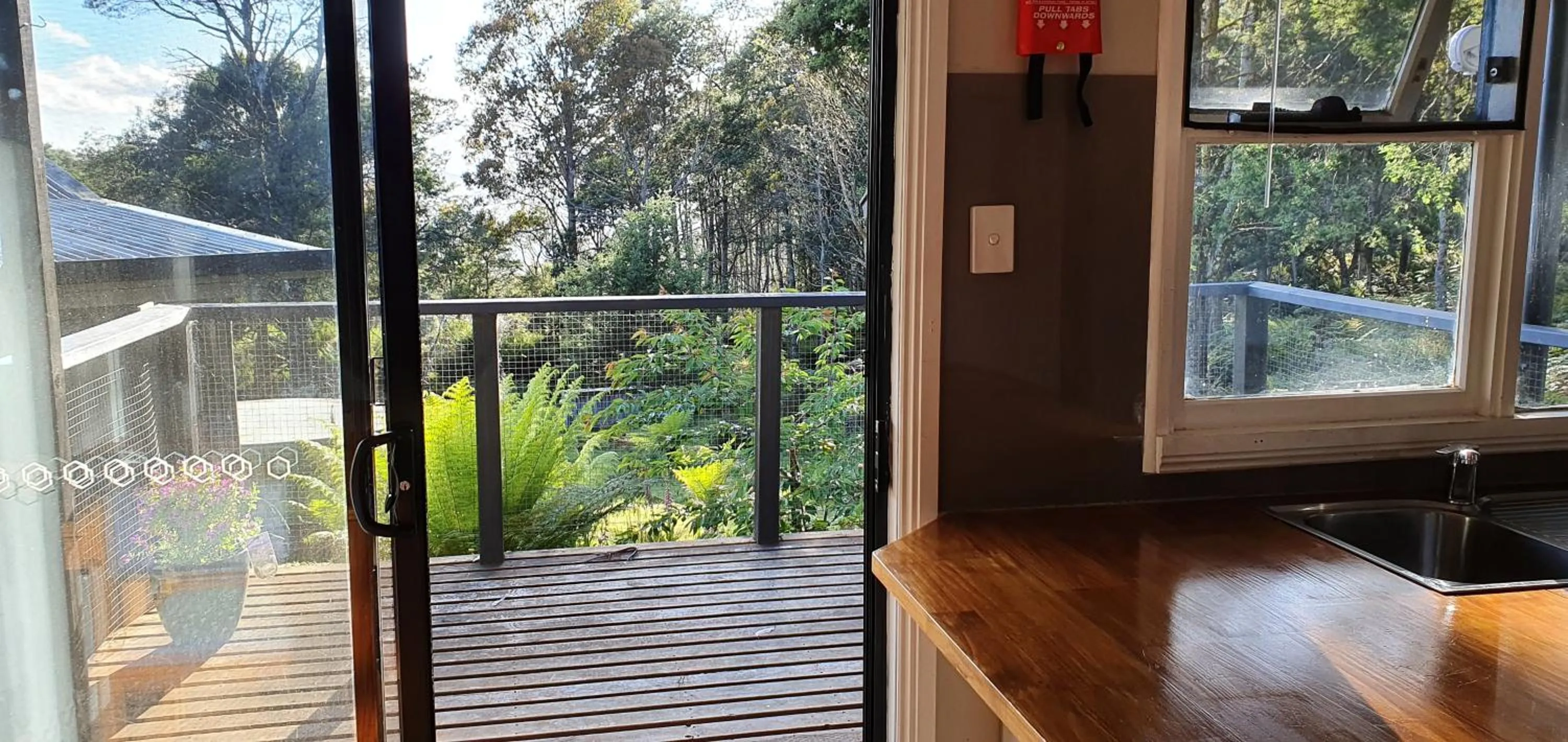 Garden view in Cradle Alpine Retreat
